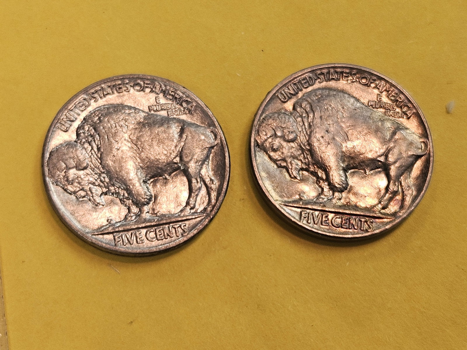 Two Choice Brilliant Uncirculated PLus Buffalo Nickels - 5