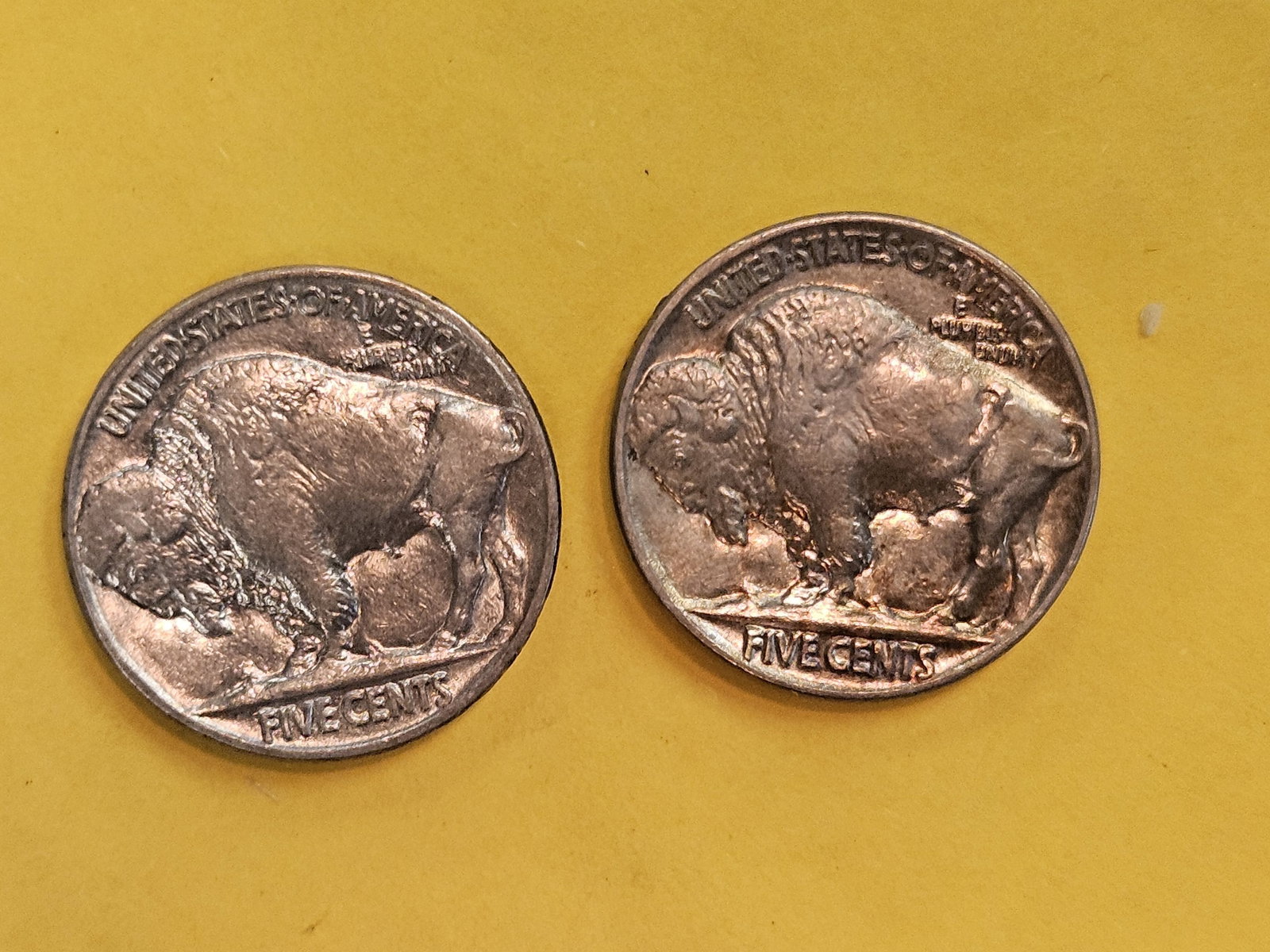 Two Choice Brilliant Uncirculated PLus Buffalo Nickels - 6