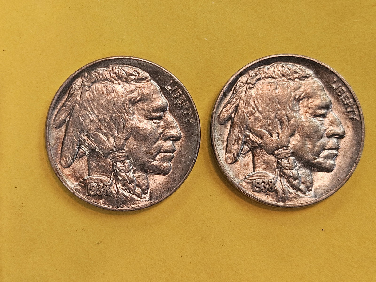 Two Very Choice Brilliant Uncirculated 1938-D Buffalo Nickels - 3