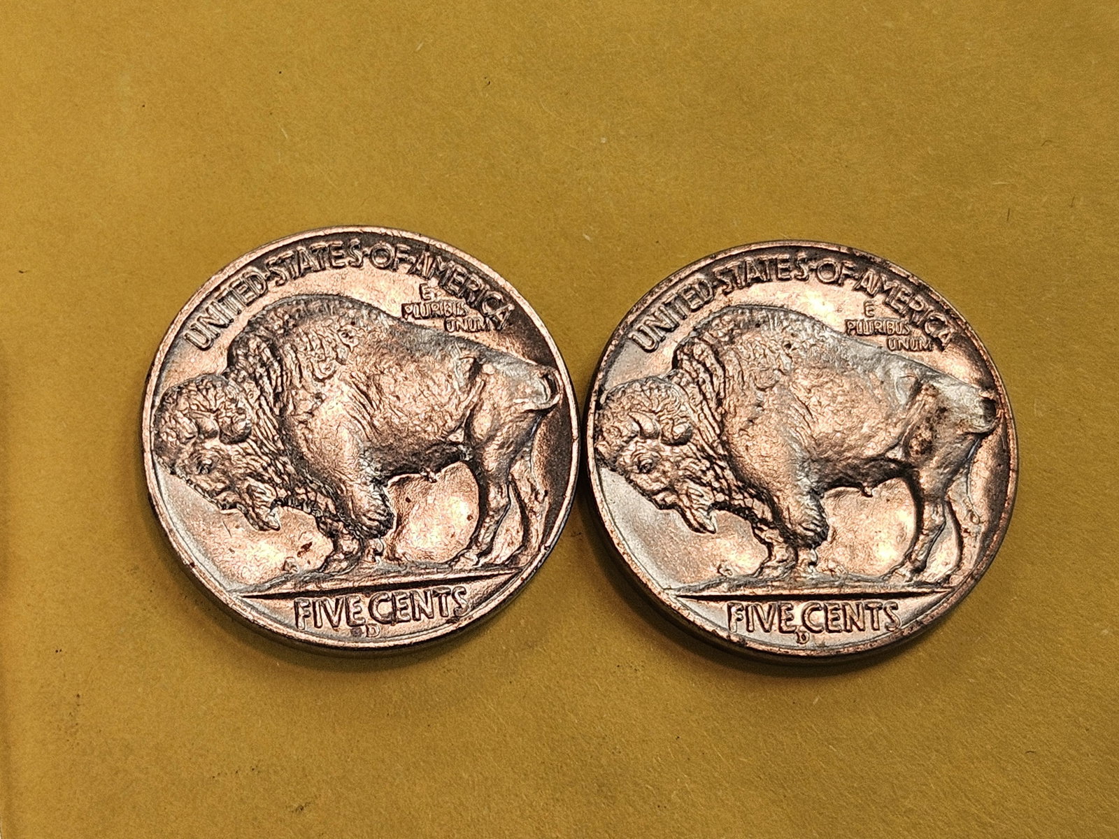 Two Very Choice Brilliant Uncirculated 1938-D Buffalo Nickels - 4