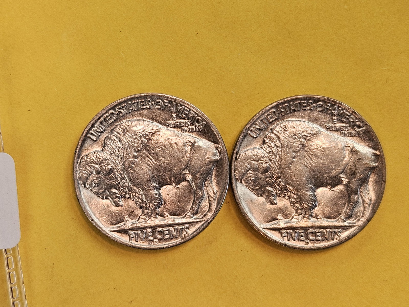 Two Very Choice Brilliant Uncirculated 1938-D Buffalo Nickels - 5