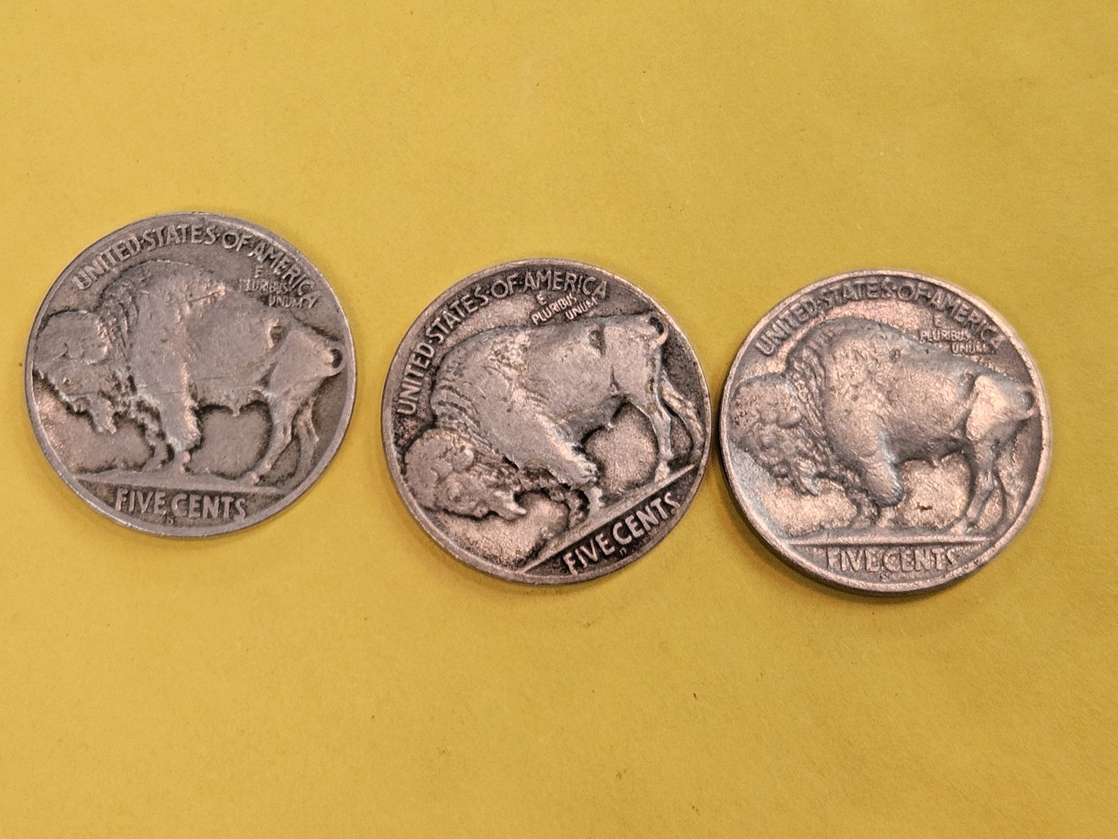 Three Buffalo Nickels in Fine condition - 3