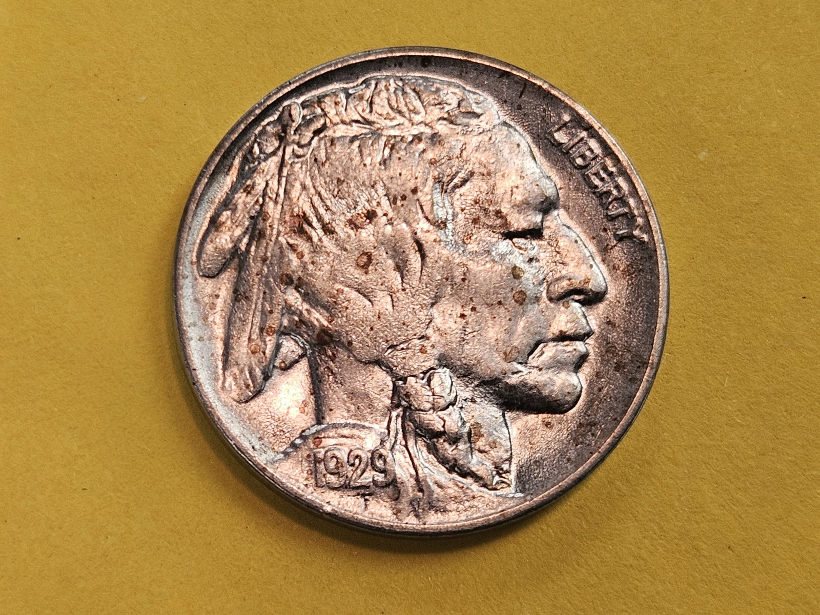 GEM Brilliant Uncirculated 1929 Buffalo Nickel: Gleaming Luster!