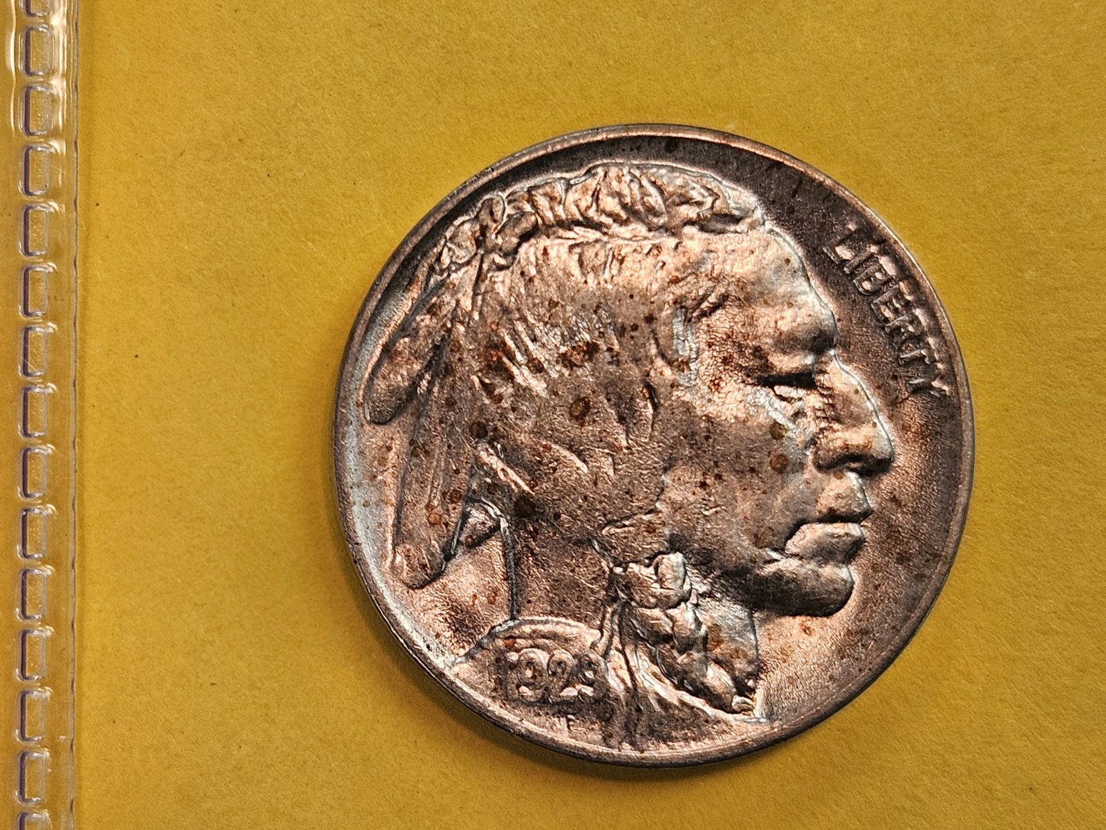 GEM Brilliant Uncirculated 1929 Buffalo Nickel - 3