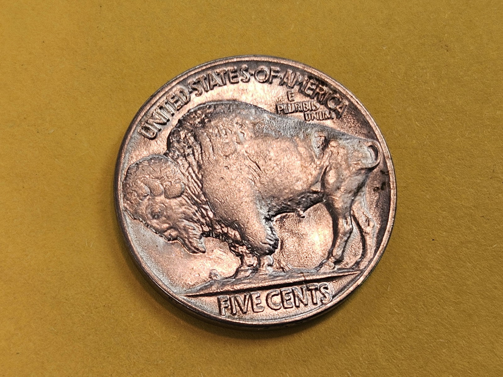 GEM Brilliant Uncirculated 1929 Buffalo Nickel - 4