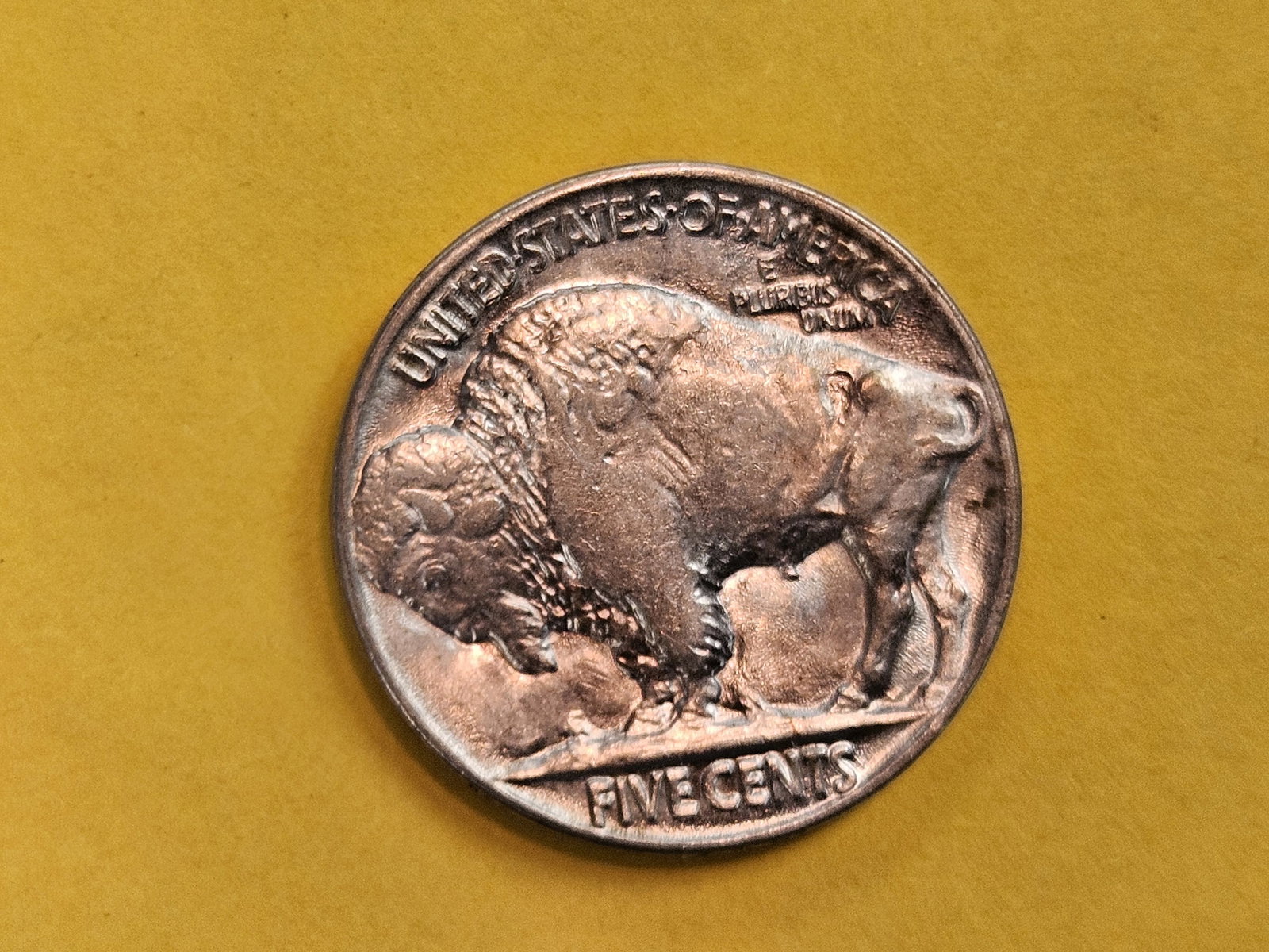 GEM Brilliant Uncirculated 1929 Buffalo Nickel - 5