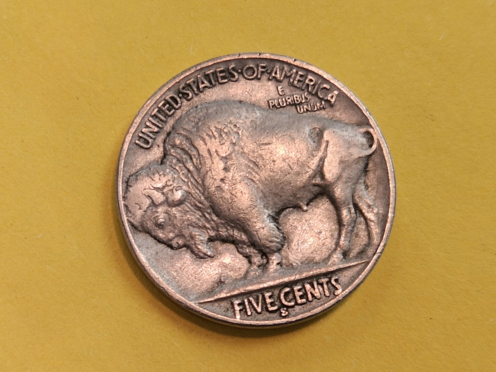 Semi-Key 1931-S Buffalo Nickel in Extra Fine - 3