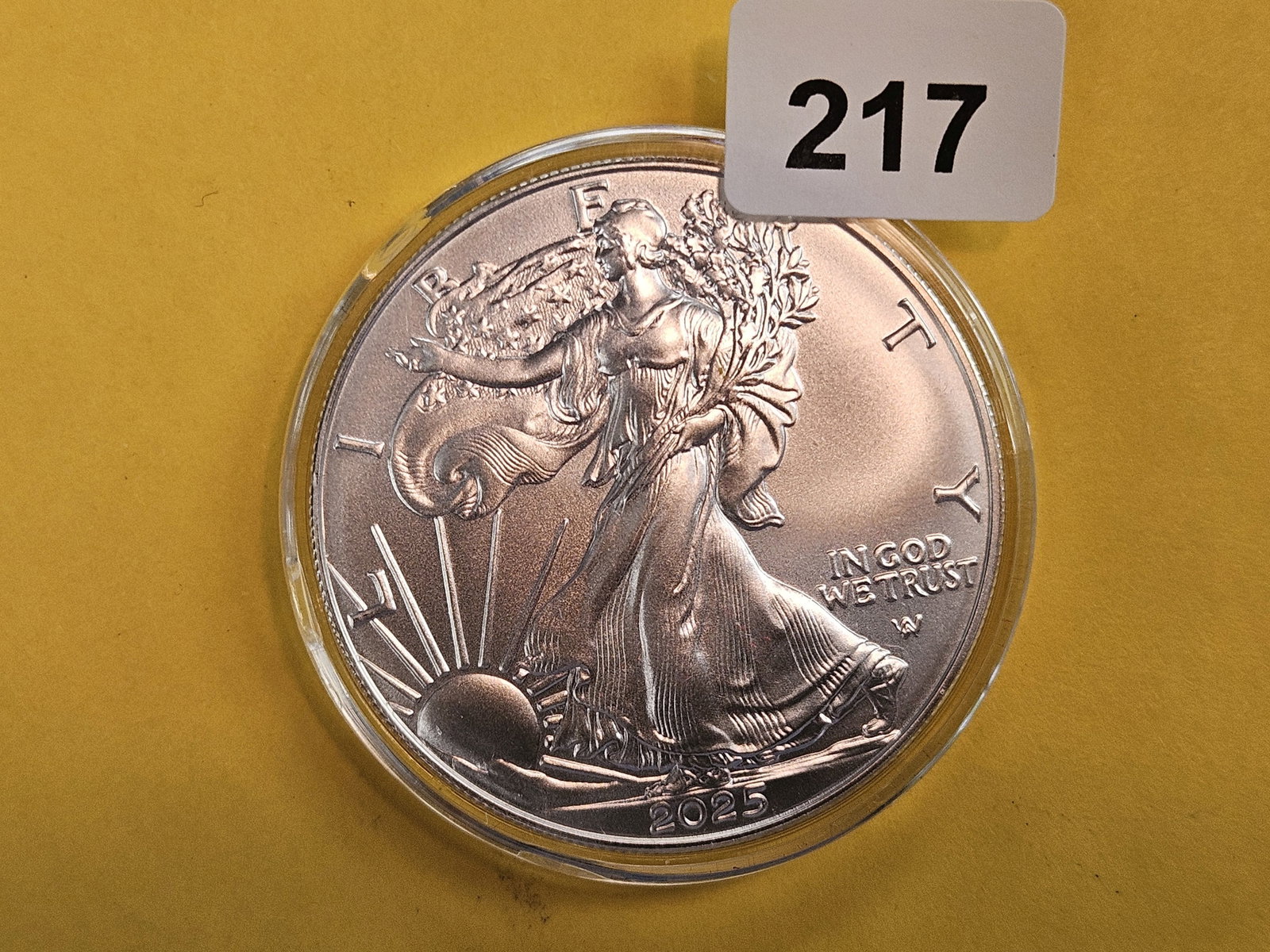 GEM Brilliant Uncirculated 2023 American Silver Eagle: In plastic capsule