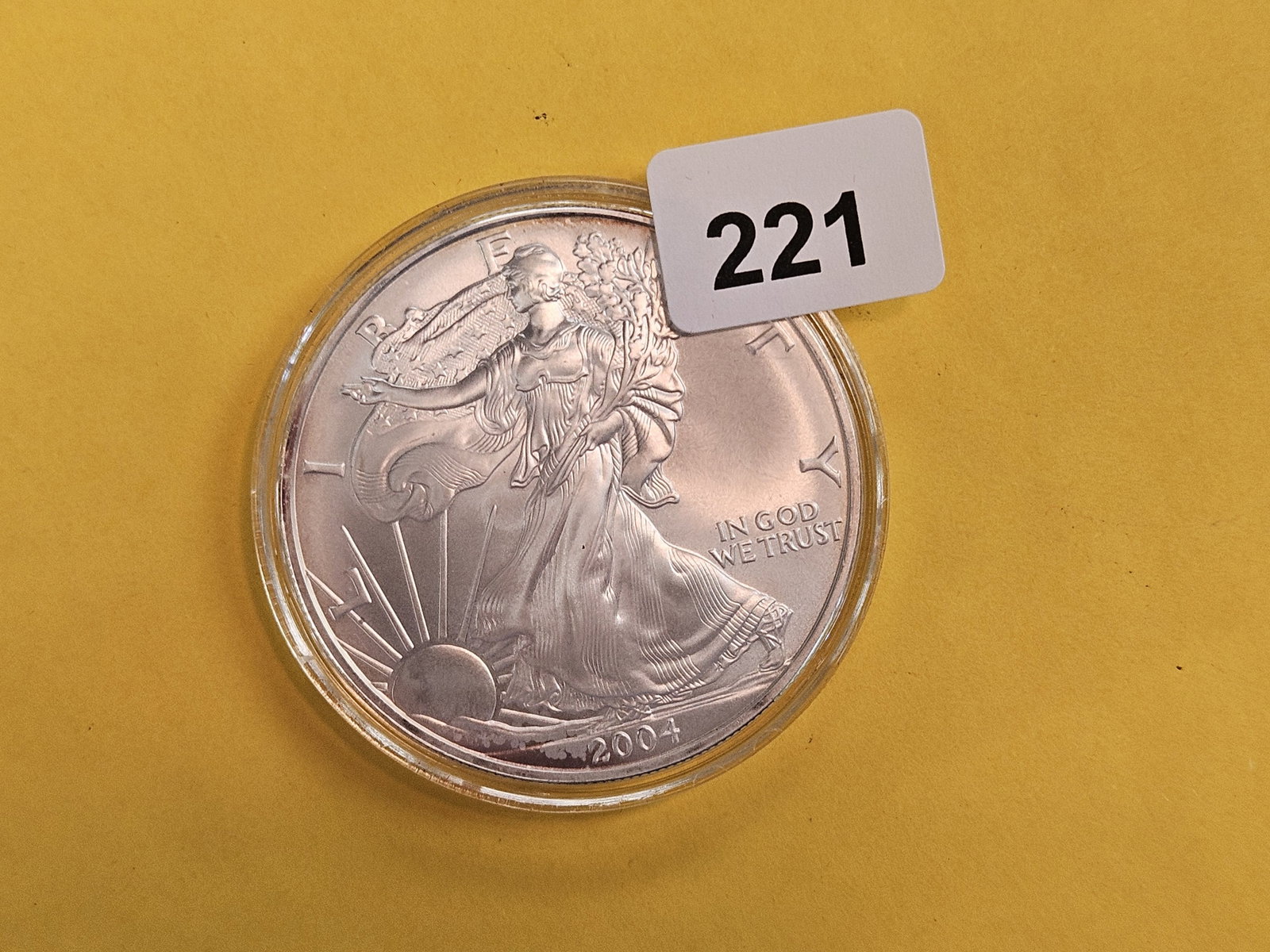 GEM Brilliant Uncirculated 2004 American Silver Eagle (1 of 2)