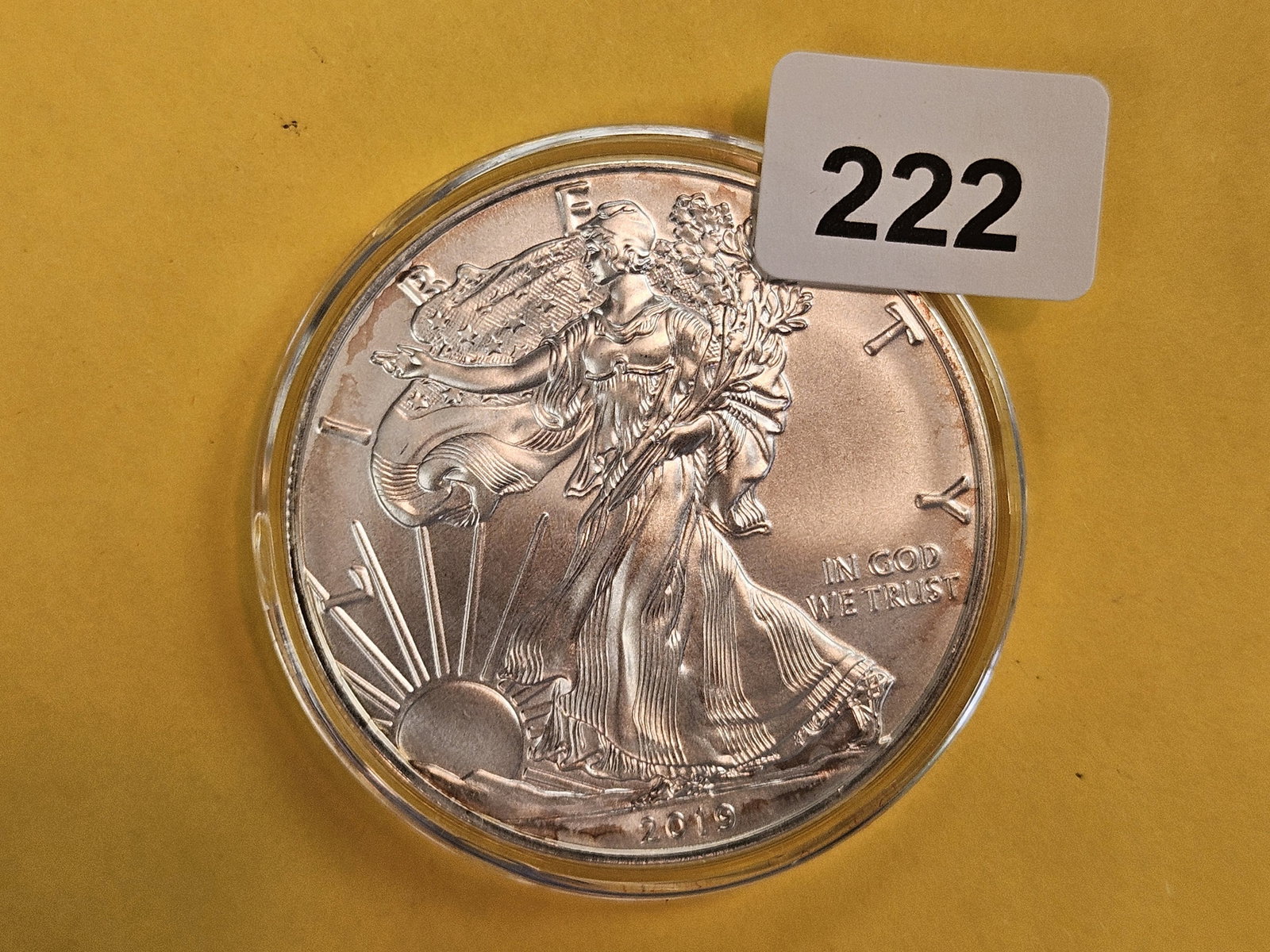 GEM Brilliant Uncirculated 2019 American Silver Eagle: In plastic capsule