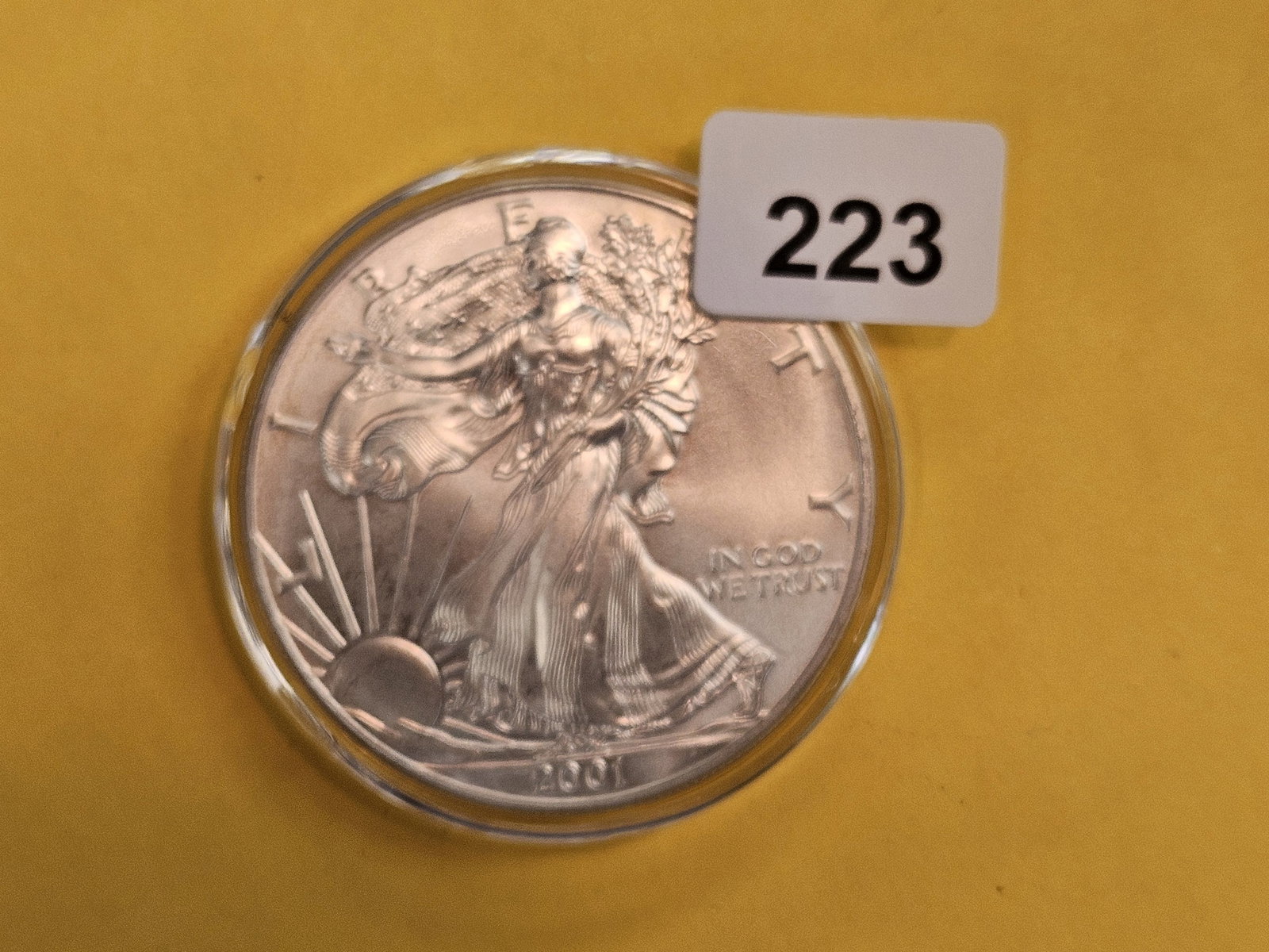 GEM Brilliant Uncirculated 2001 American Silver Eagle (1 of 2)