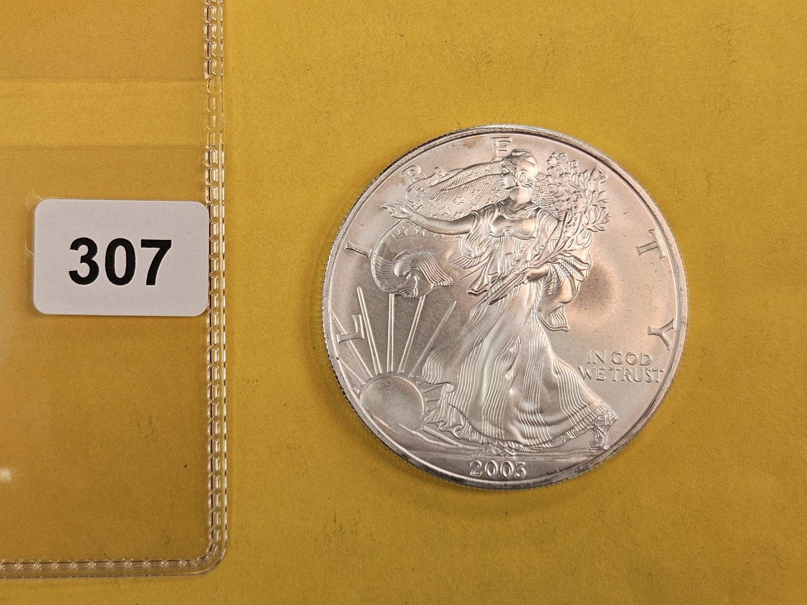 And last, but not least a GEM BU 2003 ASE, partially colorized!: Thanks all for another great auction! Have a blessed night, wonderful week and we'll see ya'll again next time!