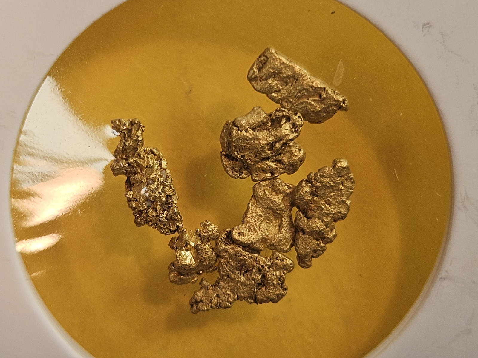GOLD NUGGETS! (1 of 5)