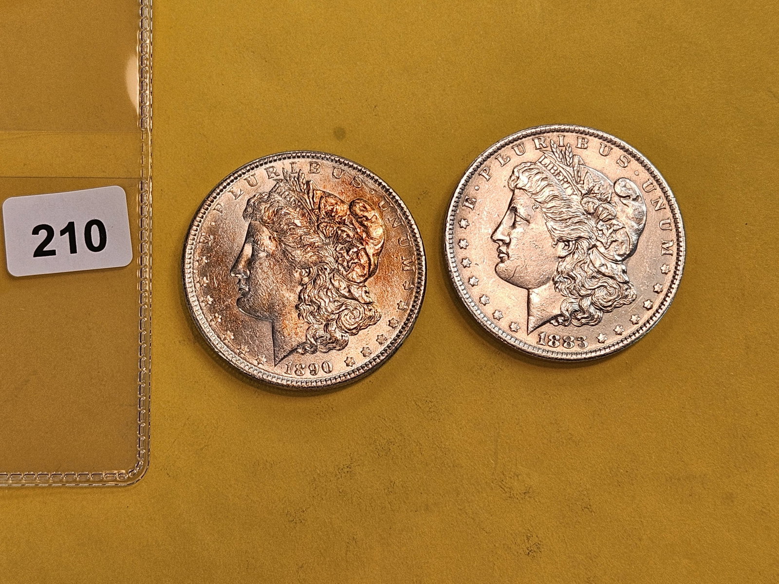 Two Brilliant About Uncirculated plus Morgan Silver Dollars - 2