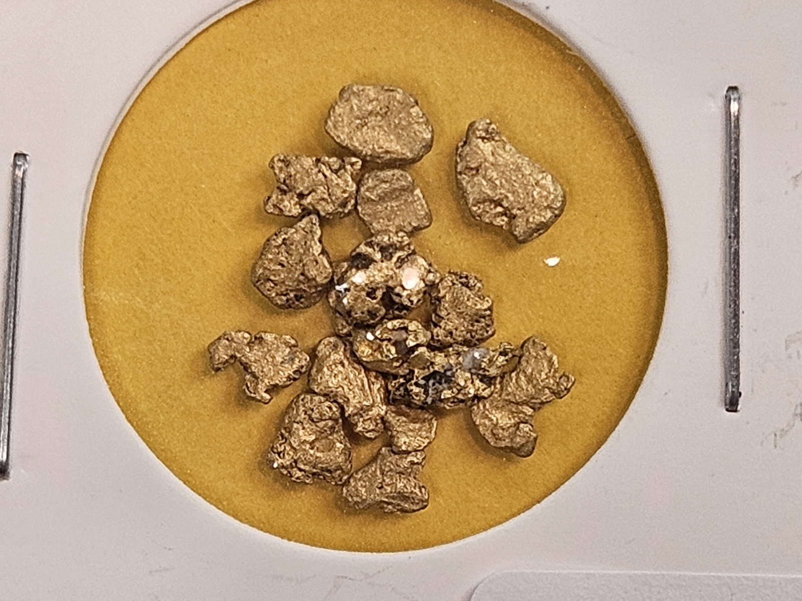 GOLD! California Gold Nuggets! (1 of 5)