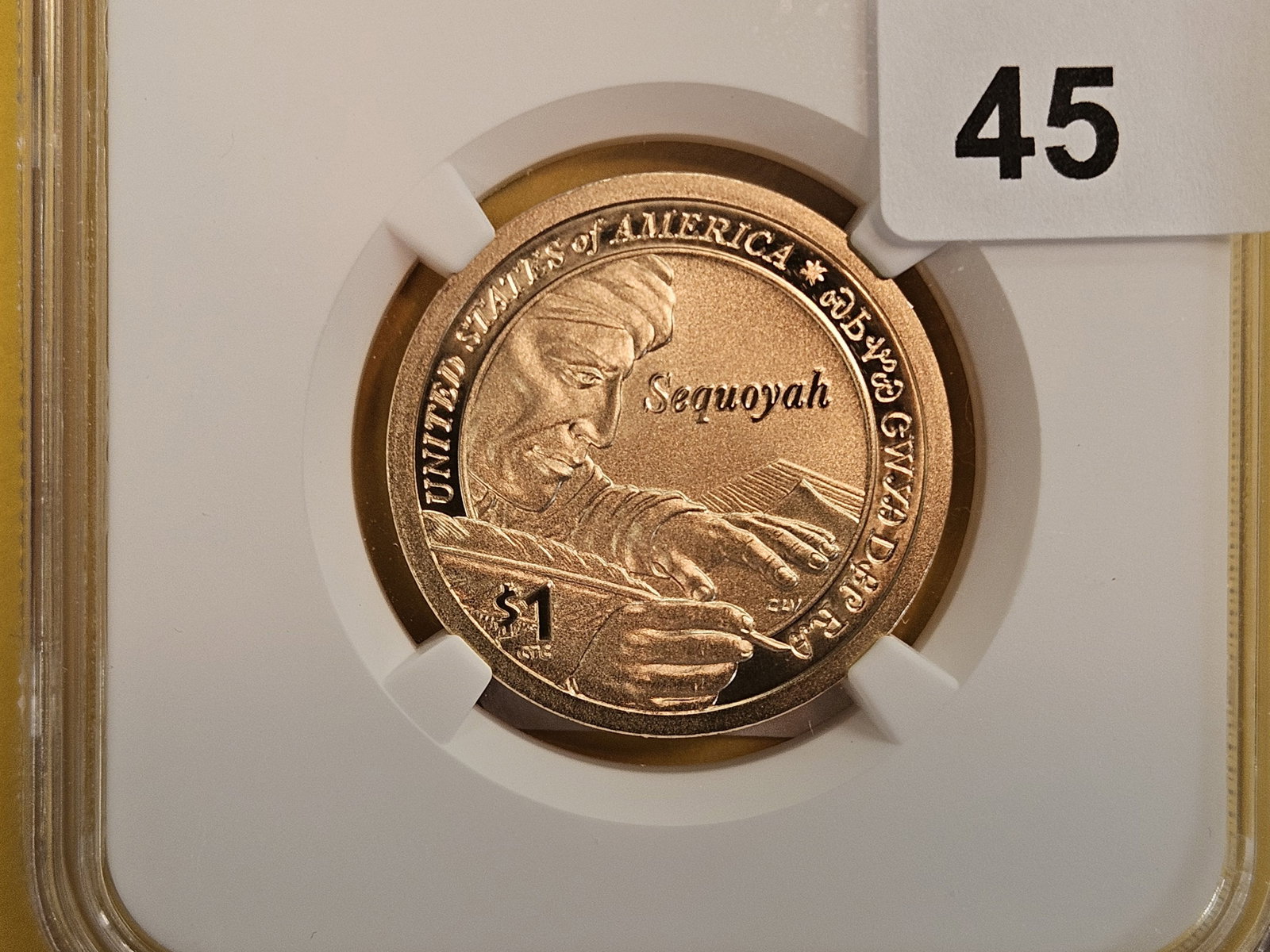 PERFECT! NGC 2017-S Sacagawea Dollar in Specimen 70 Enhanced Finish (1 of 3)