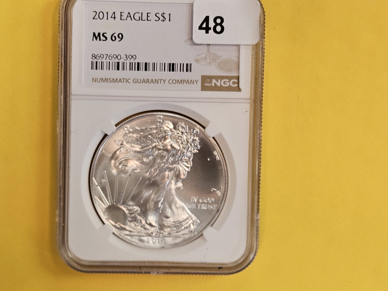 NGC 2014 American Silver Eagle (1 of 2)