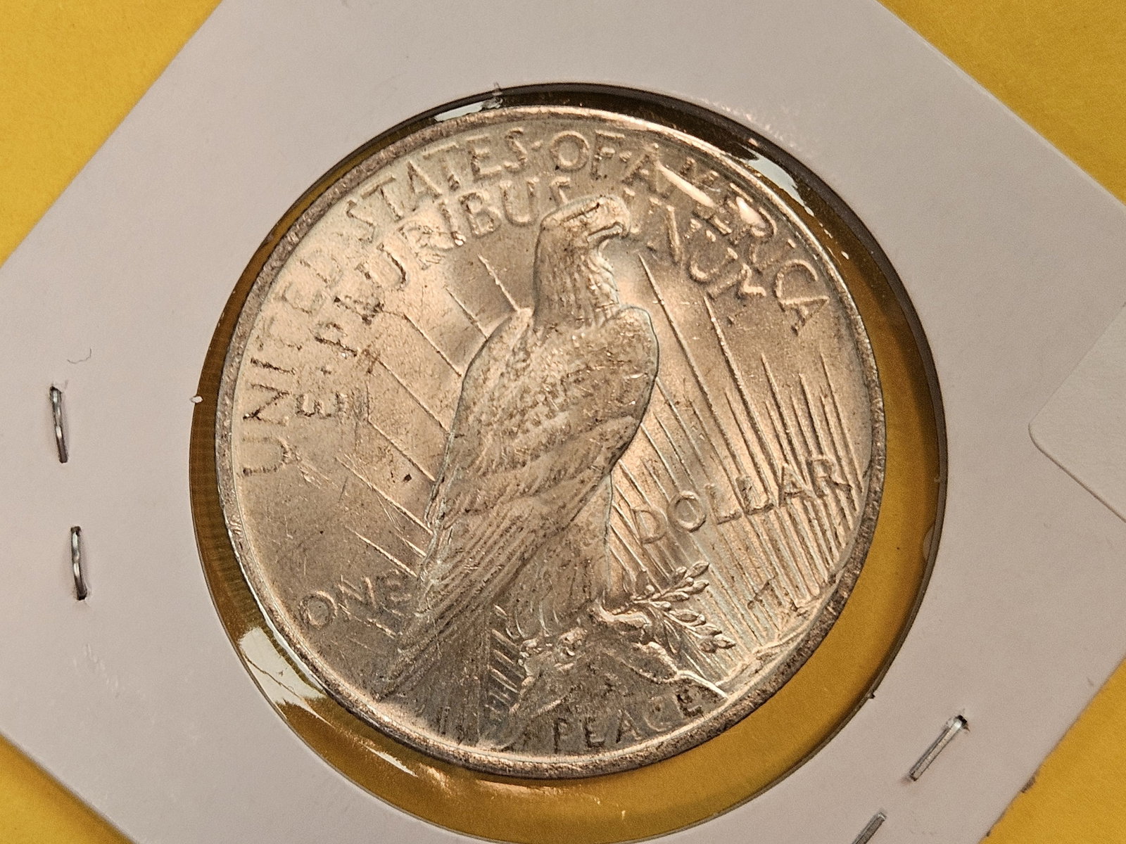 1923 Peace silver Dollar - 3