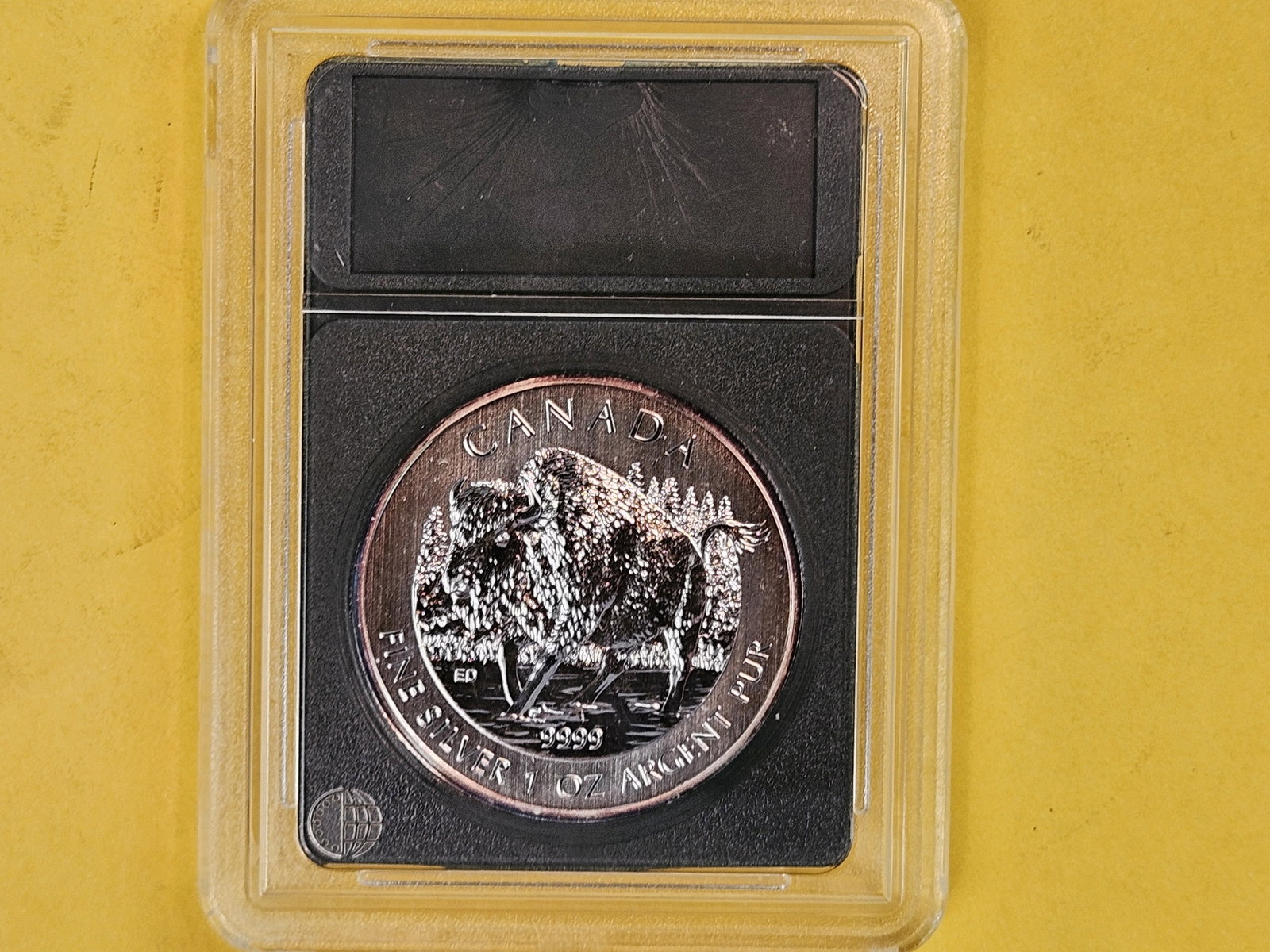 GEM 2013 Canada Silver Five Dollars - 3