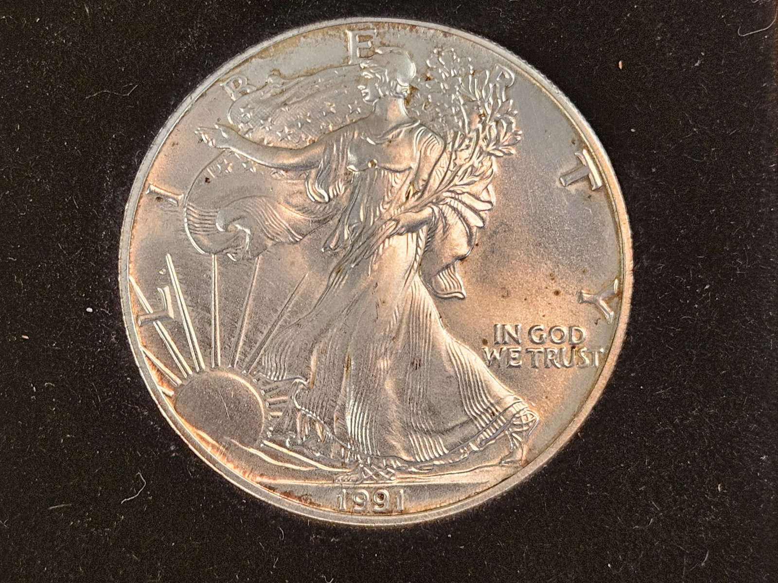 GEM Brilliant Uncirculated 1991 American Silver Eagle - 2