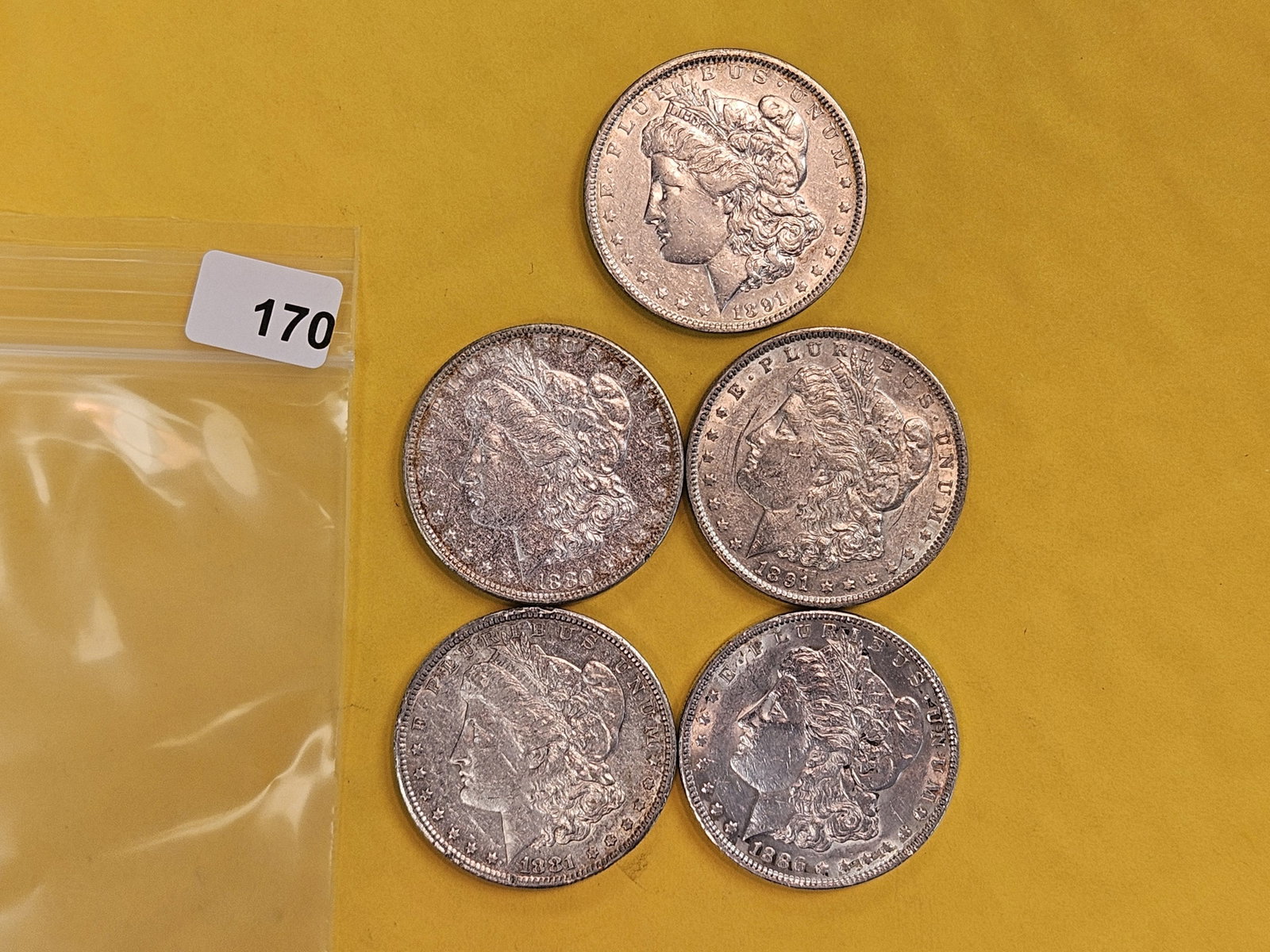 Five About Uncirculated Morgan Silver Dollars: Mixed