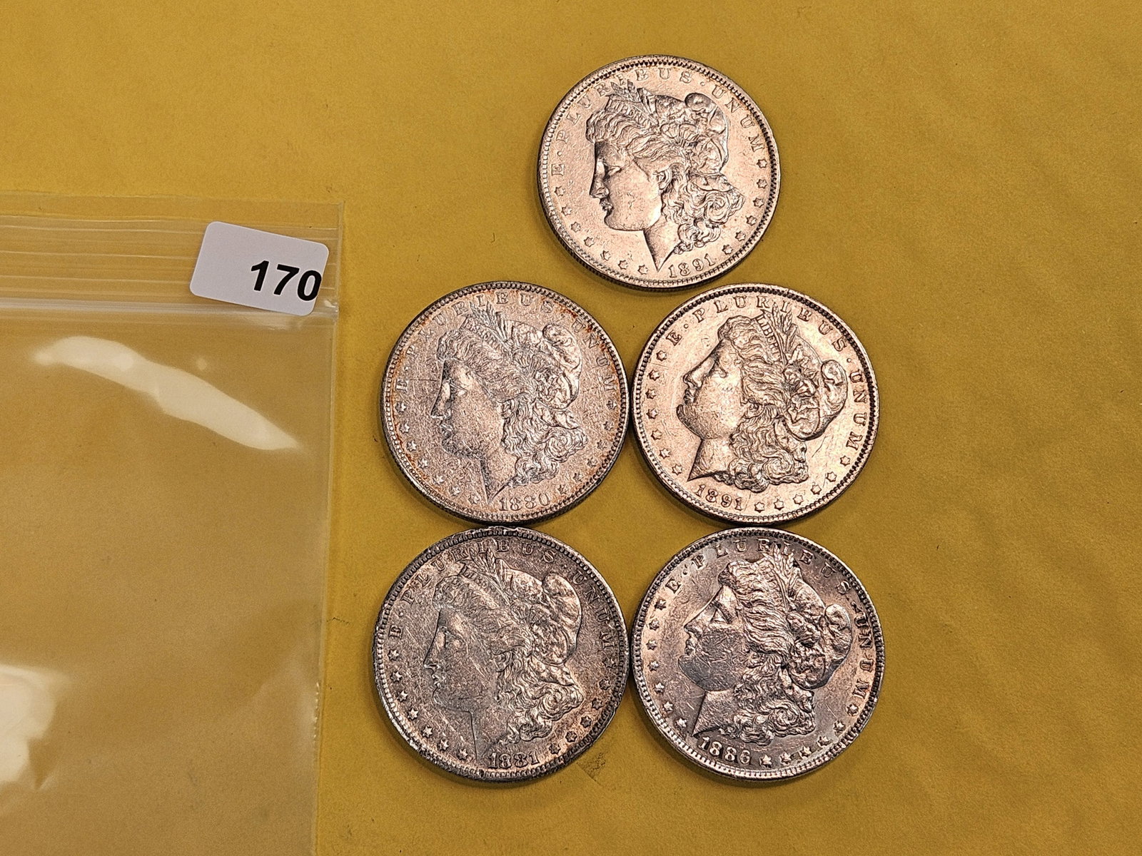 Five About Uncirculated Morgan Silver Dollars - 2