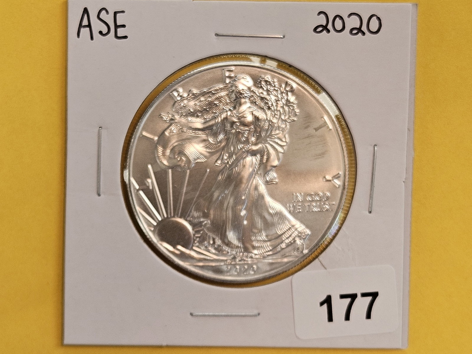 GEM Brilliant Uncirculated 2020 American Silver Eagle: Light tone..almost looks like a milk spot