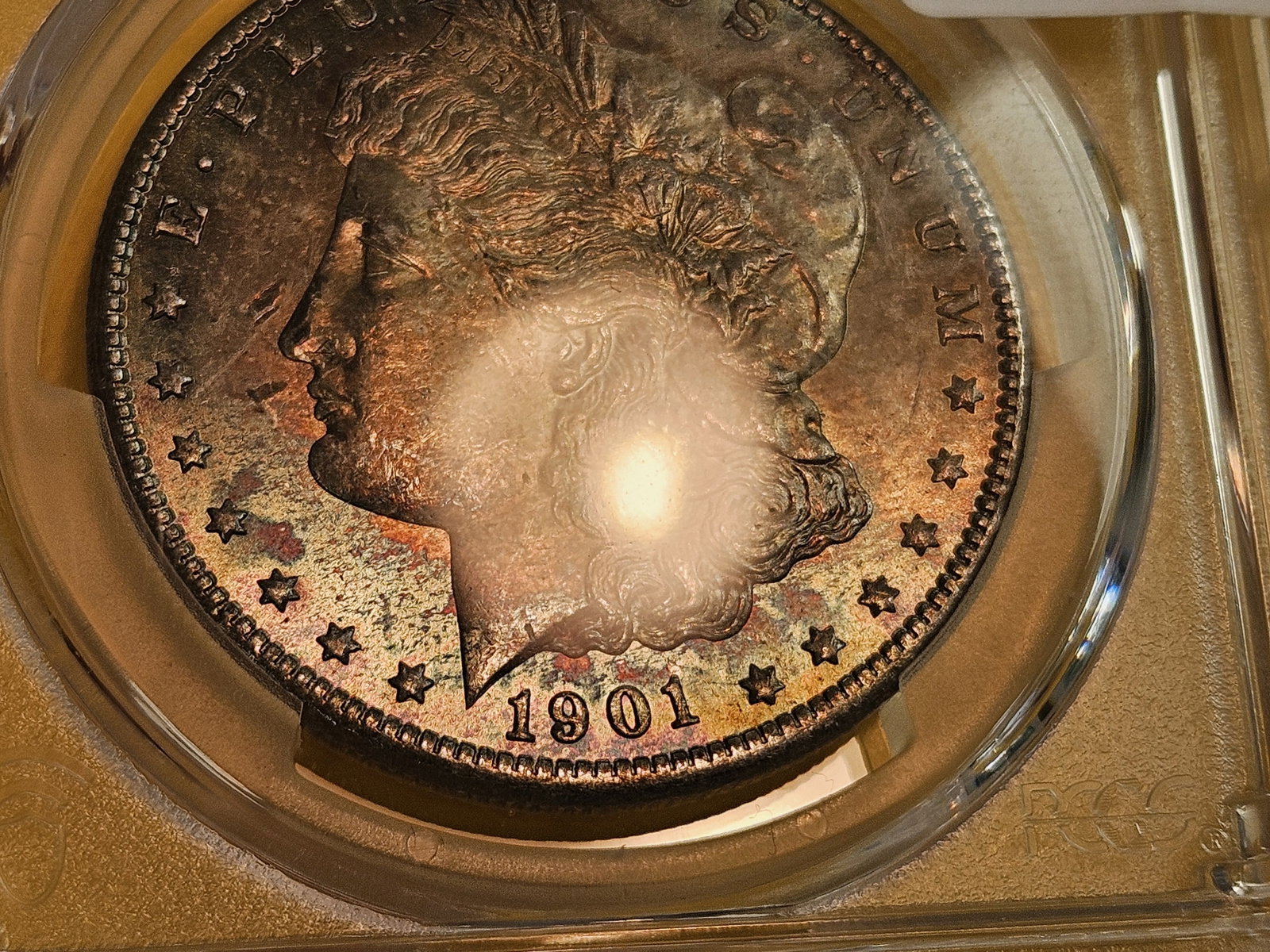 PCGS 1901-O Morgan Dollar in Mint State 63 - 3
