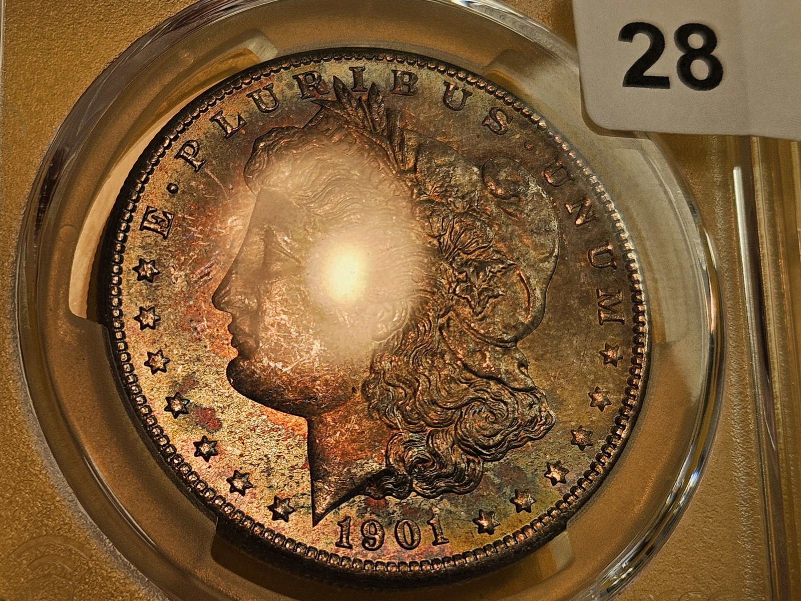 PCGS 1901-O Morgan Dollar in Mint State 63 - 4