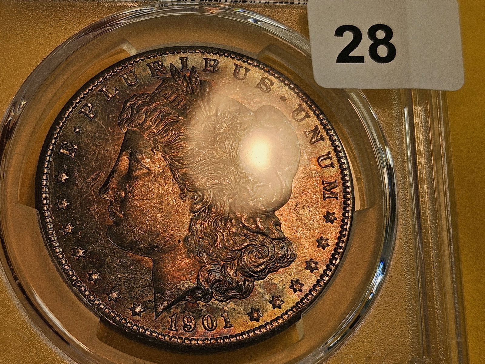 PCGS 1901-O Morgan Dollar in Mint State 63 - 5