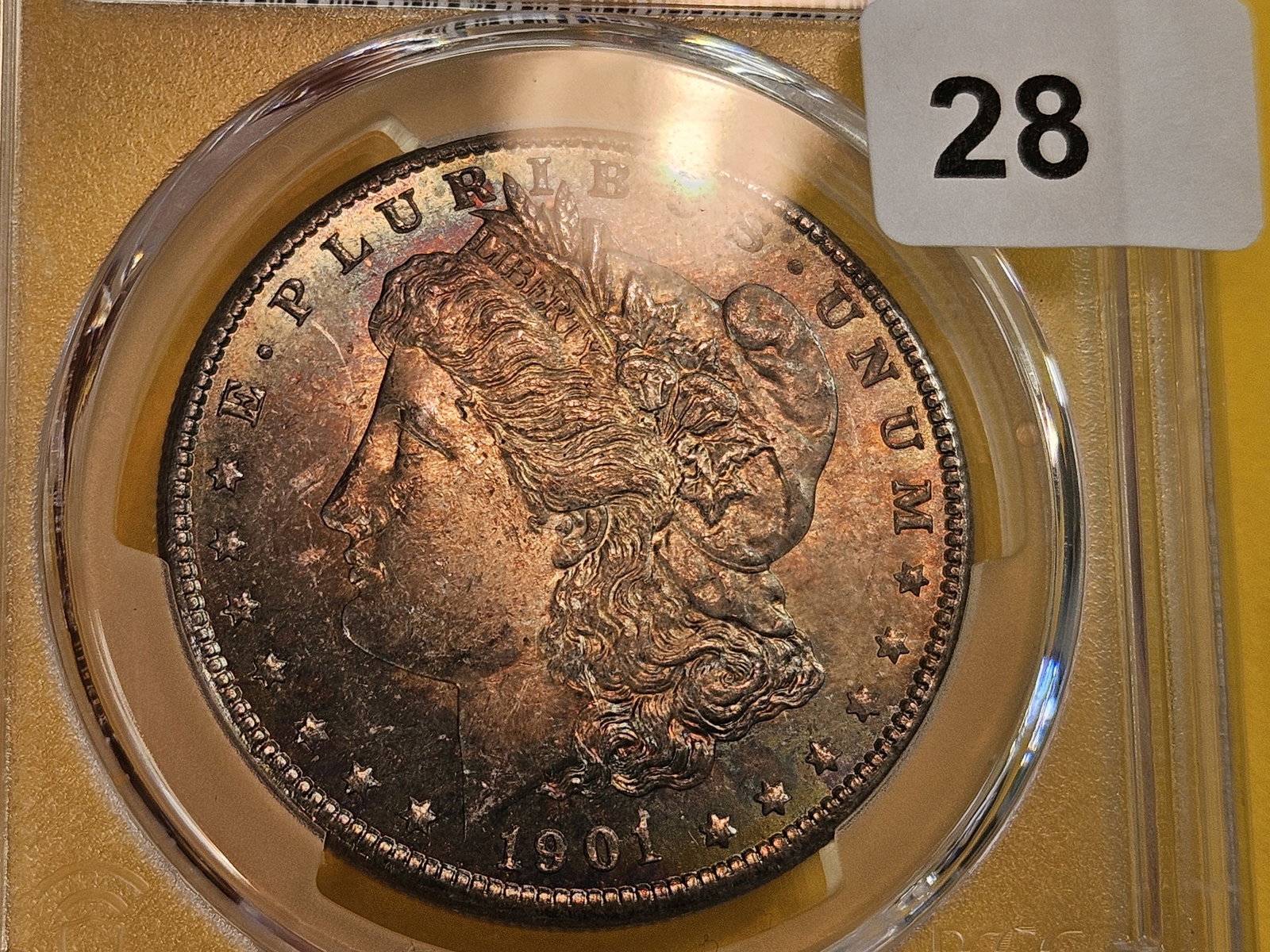 PCGS 1901-O Morgan Dollar in Mint State 63 - 6