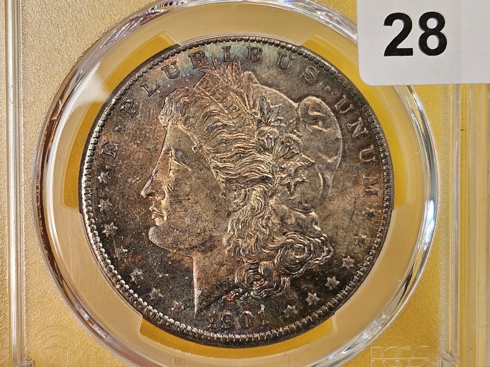 PCGS 1901-O Morgan Dollar in Mint State 63 - 7