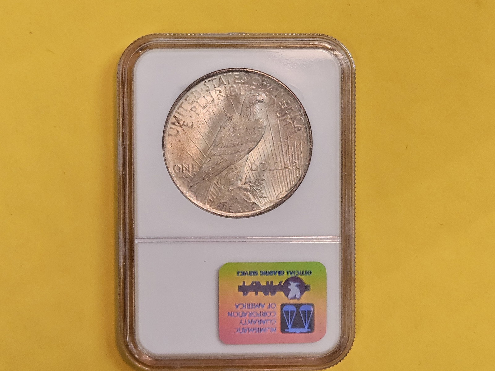 GEM! NGC 1923 Peace Silver Dollar in Mint State 65 - 3