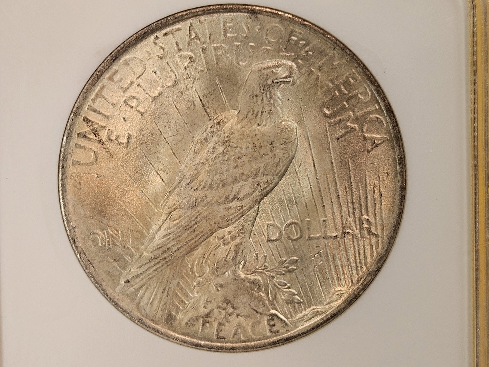 GEM! NGC 1923 Peace Silver Dollar in Mint State 65 - 4