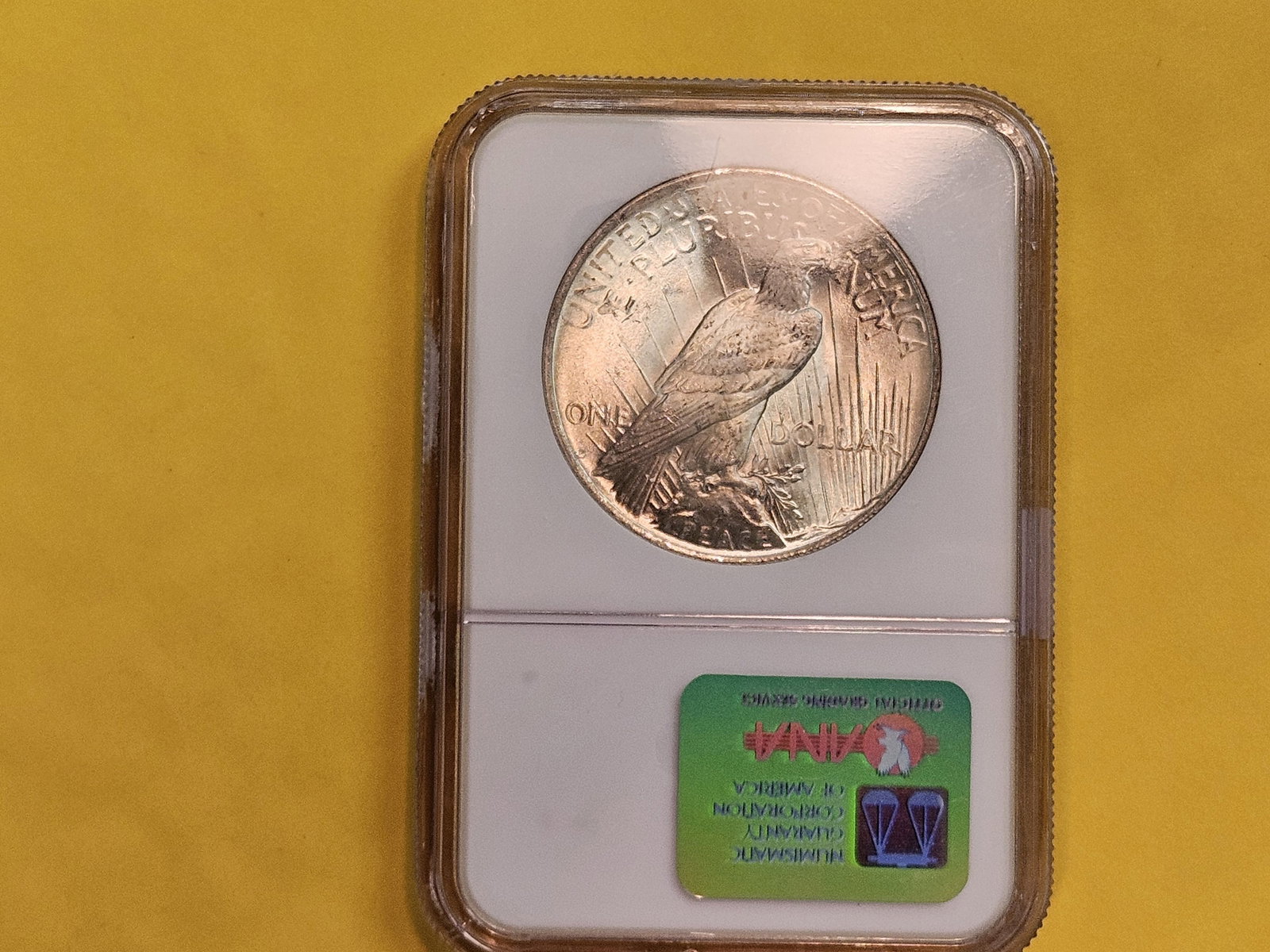 NGC 1923 Peace Silver Dollar in Mint State 64 - 3