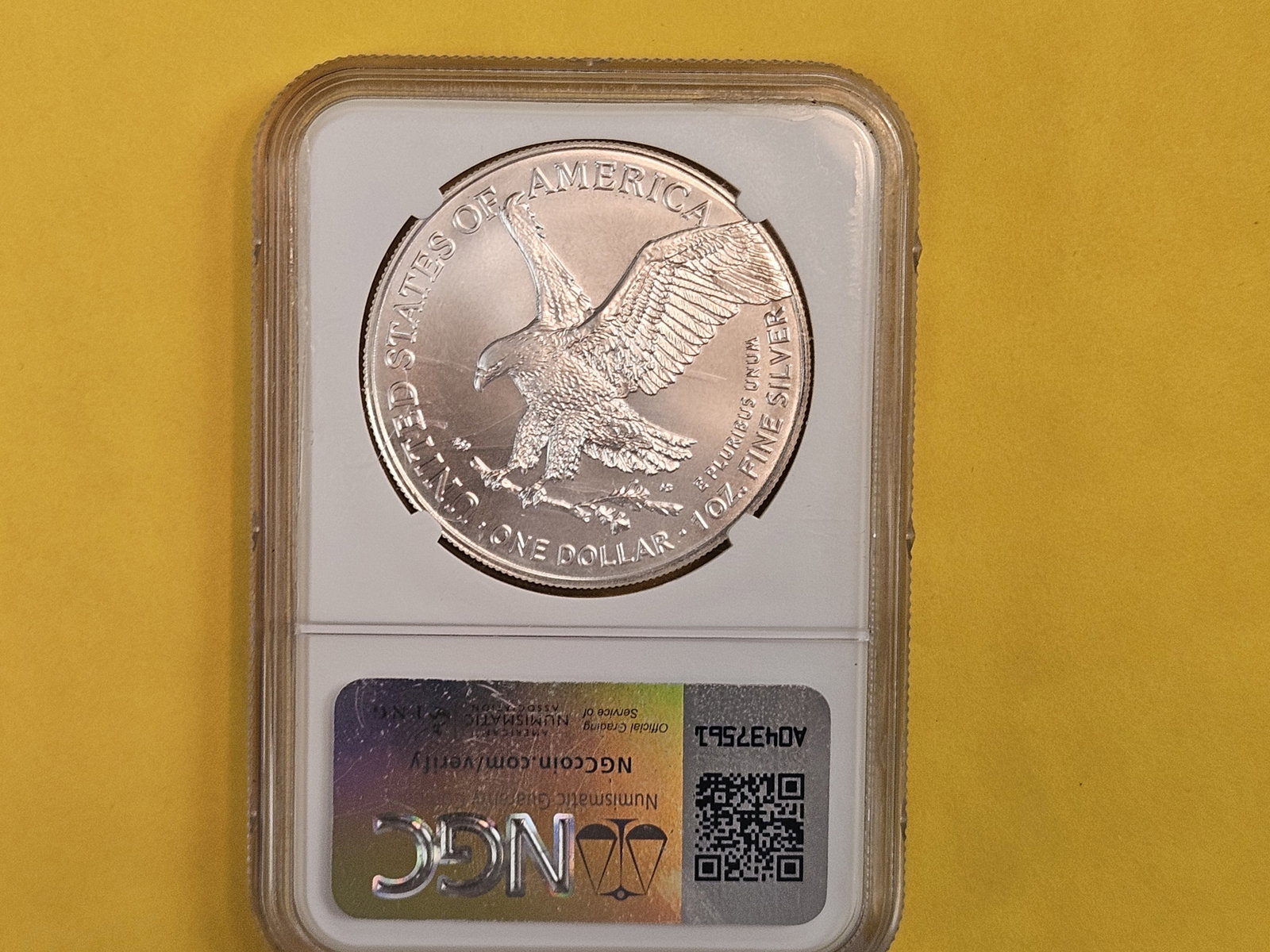 NGC 2024(P) American Silver Eagle with Star Privy - 3
