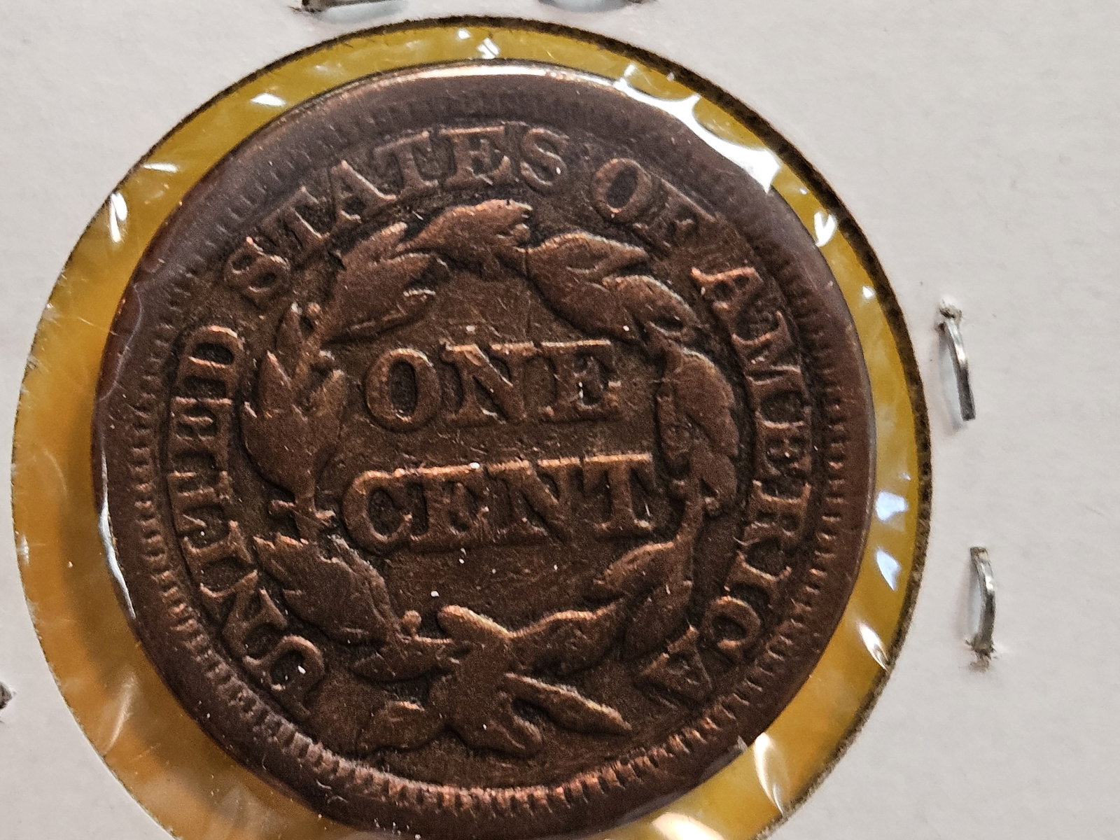 Three Braided Hair Large cents - 5