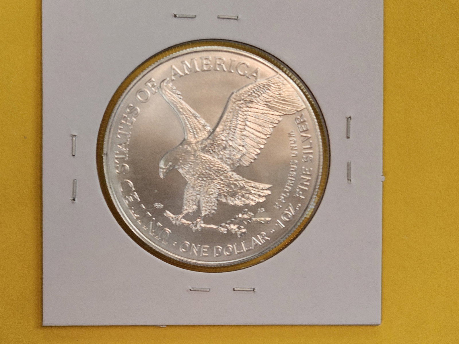 GEM Brilliant Uncirculated 2024 American Silver Eagle - 2