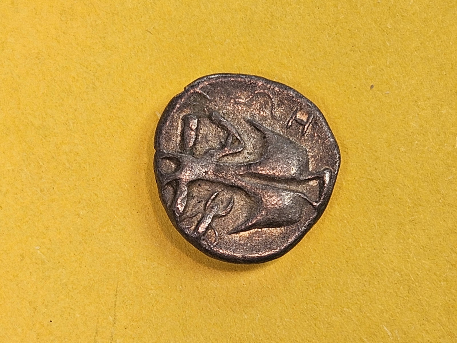 ANCIENT! Coria Rhodes silver hemidrachm - 3