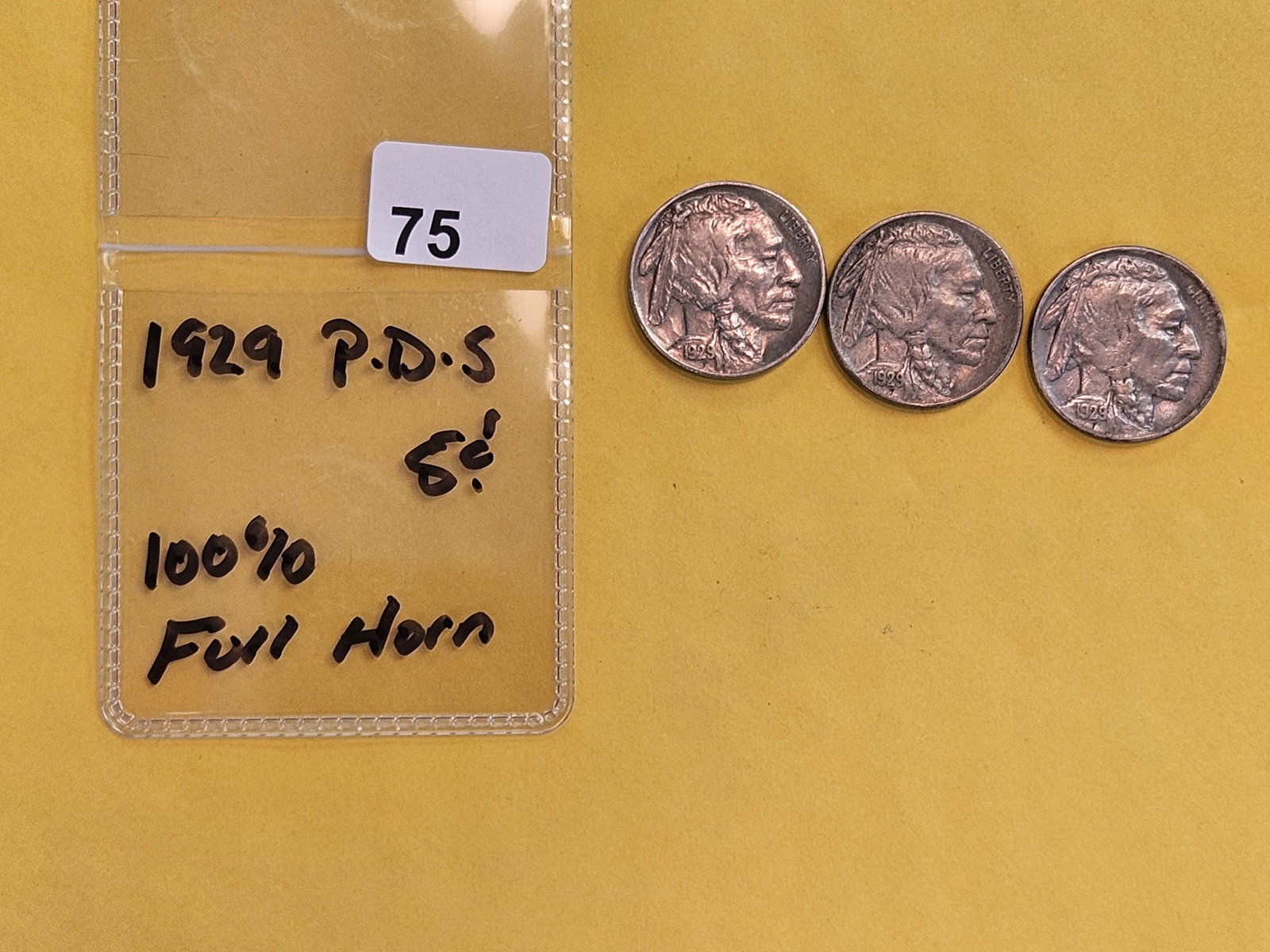 Three Better Grade, Full Horn, Buffalo Nickels - 2
