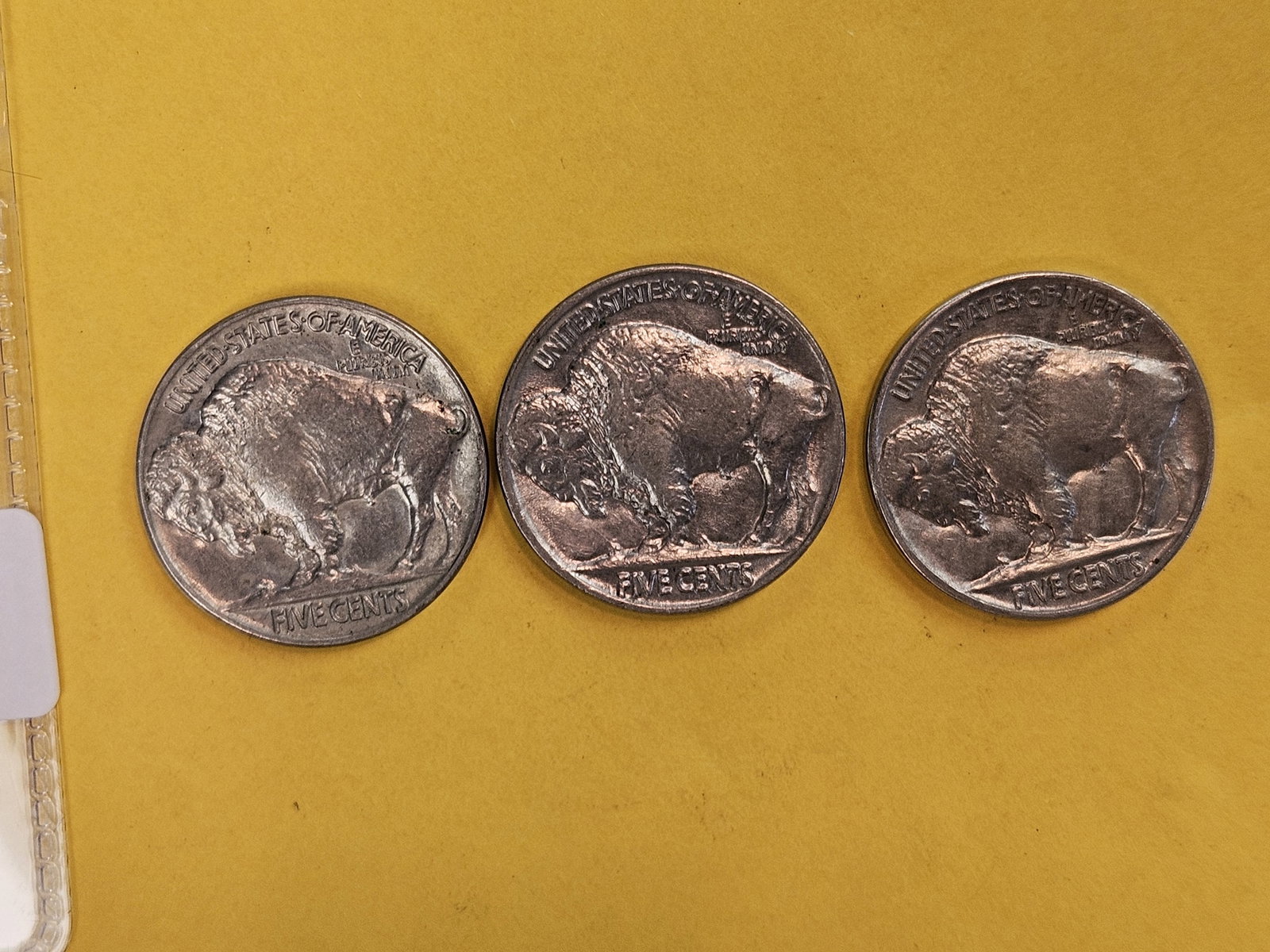 Three Choice to Very Choice Brilliant Uncirculated Buffalo Nickels - 7