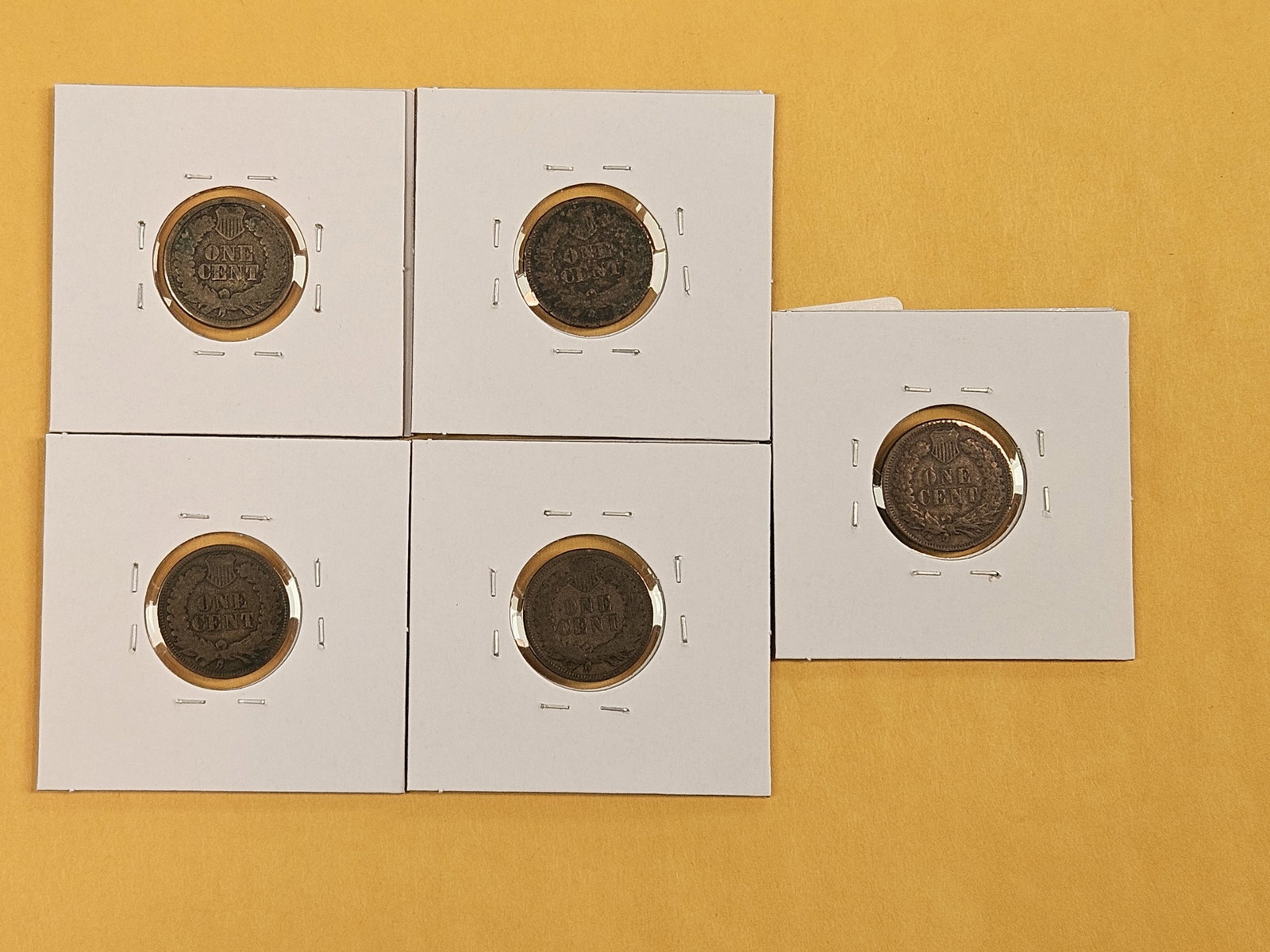 Five mixed, better date Indian Cents - 7