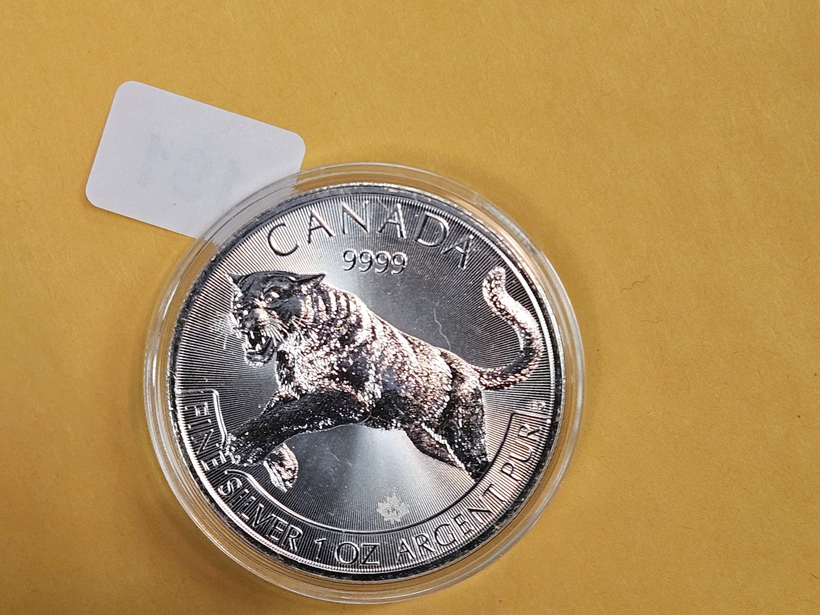 GEM 2016 Canada silver Five Dollars - 2