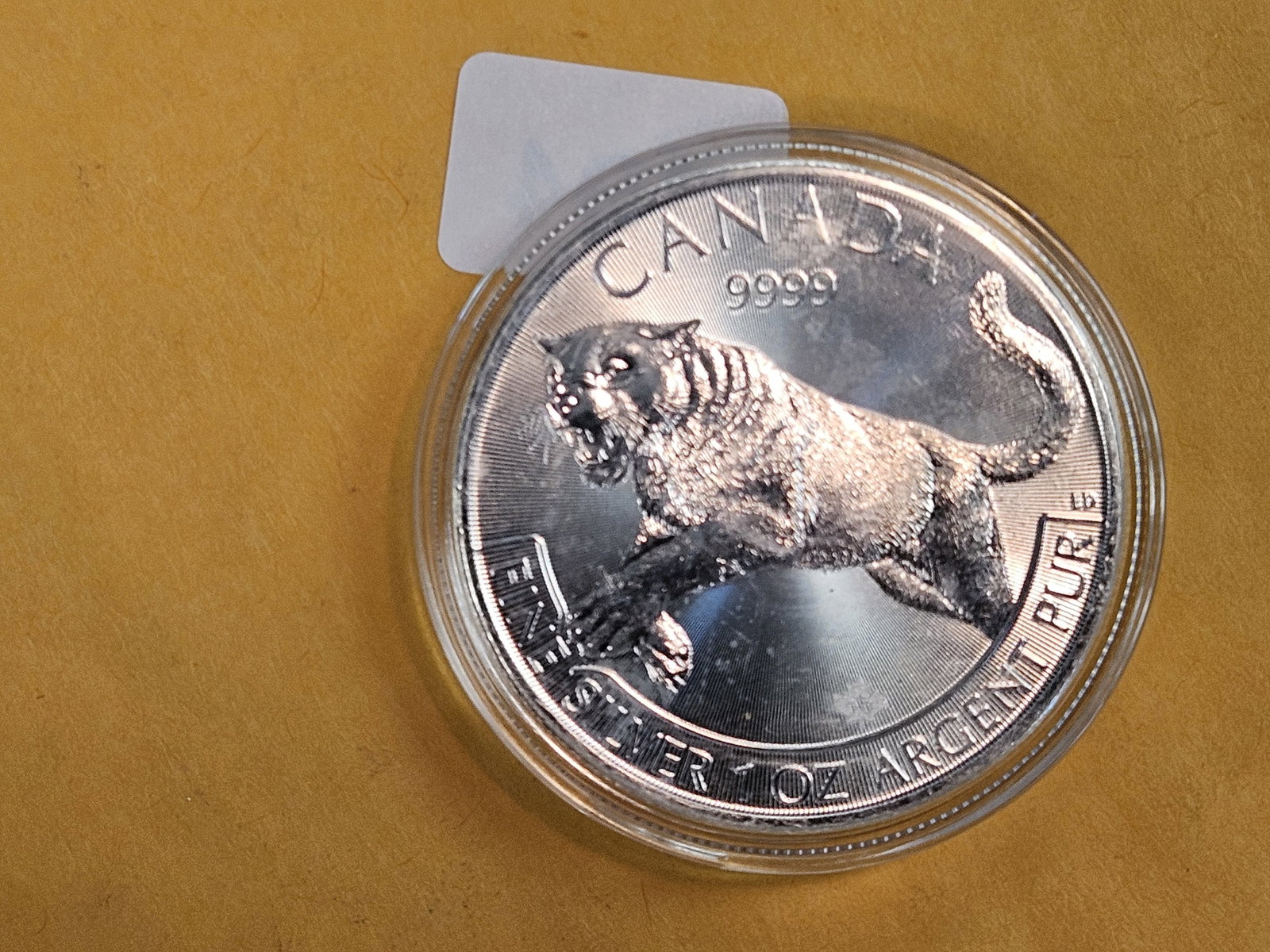 GEM 2016 Canada silver Five Dollars - 2