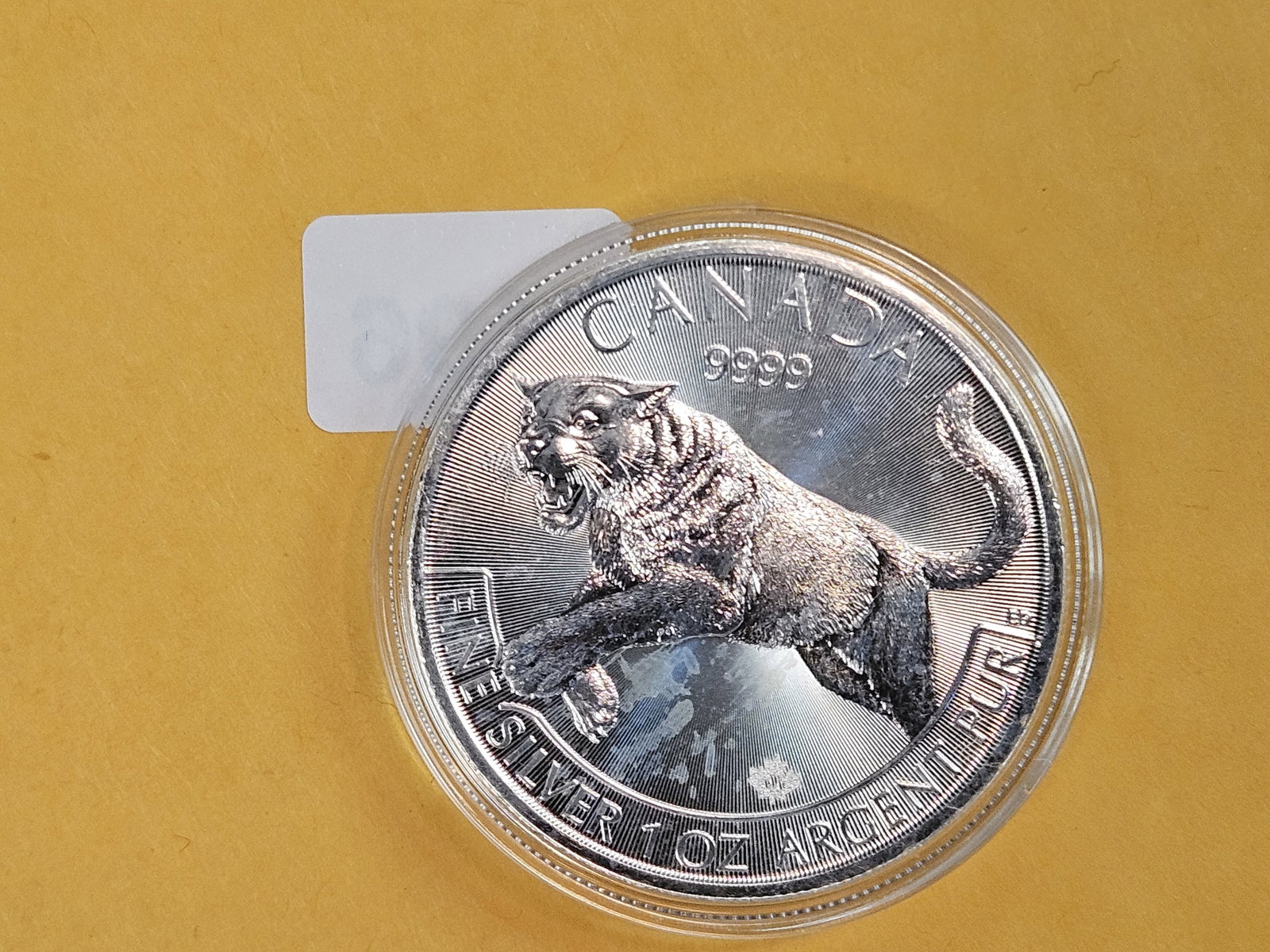 GEM 2016 Canada silver Five Dollars - 2