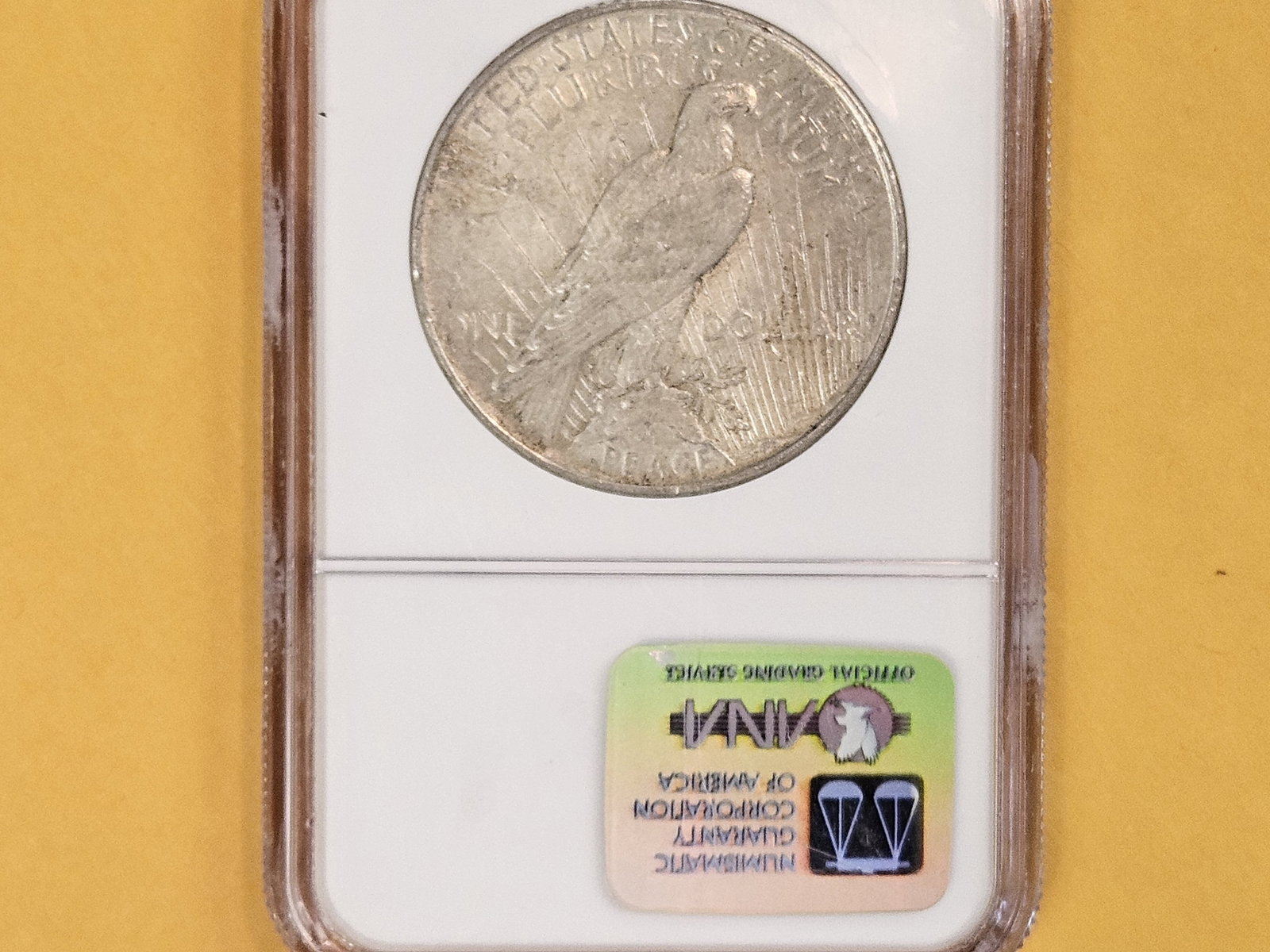 NGC 1922 Peace Silver Dollar - 2