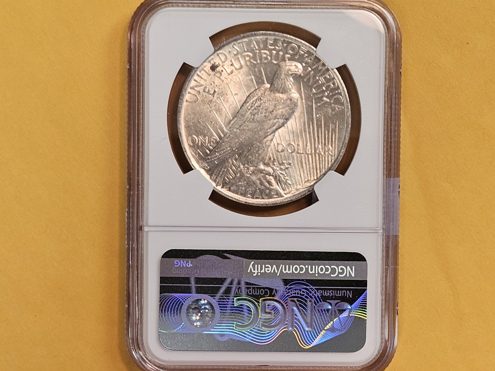 NGC 1923 Peace Silver Dollar - 2