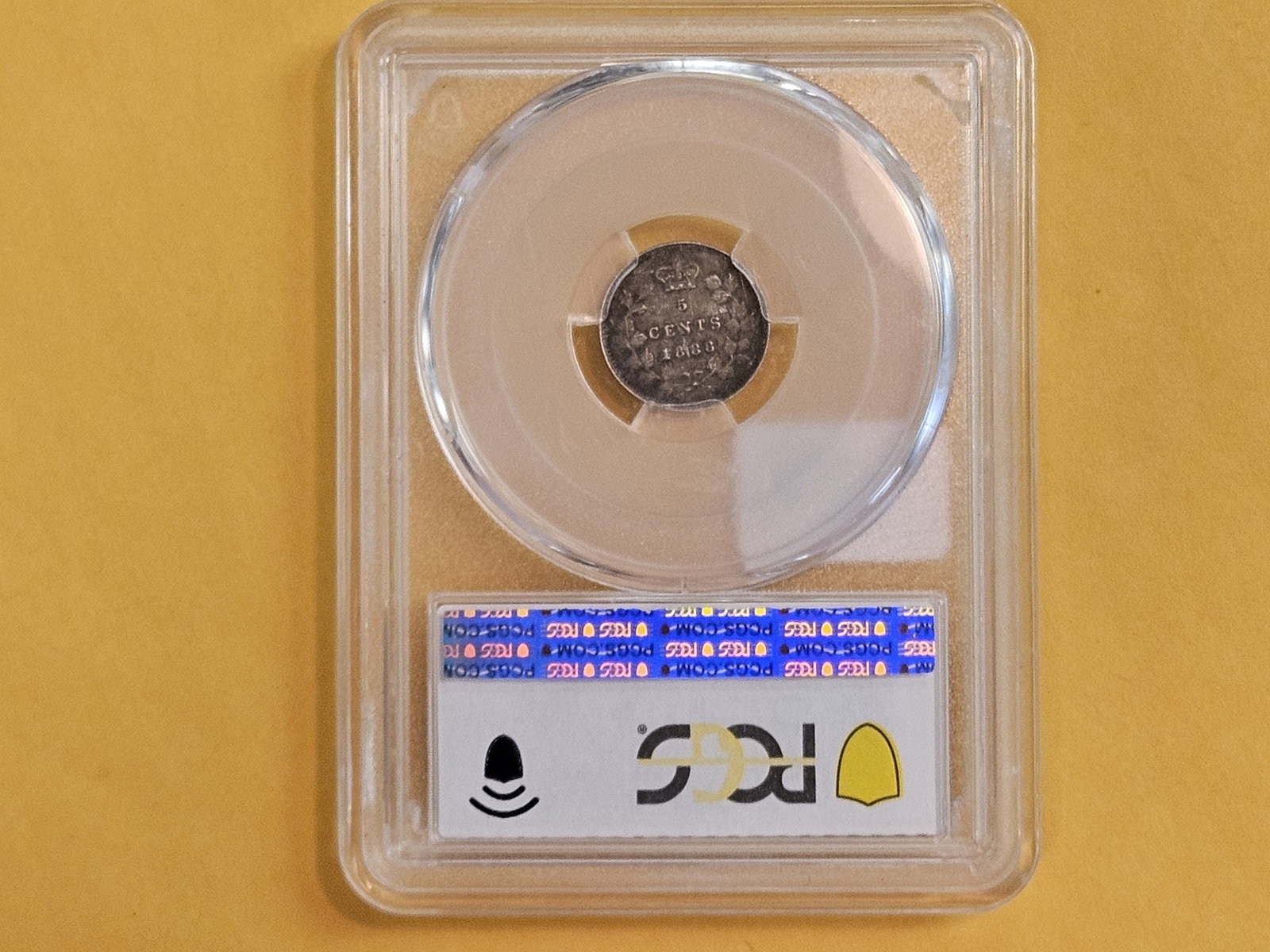 * PCGS 1886 Canada silver 5 cents in About Uncirculated - 53 - 3
