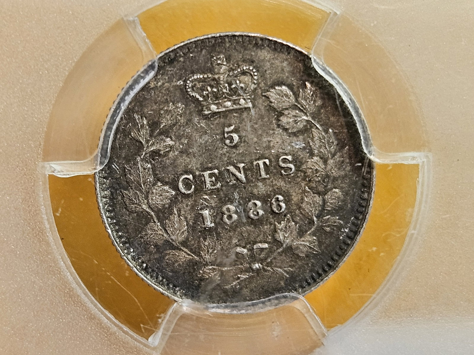 * PCGS 1886 Canada silver 5 cents in About Uncirculated - 53 - 4