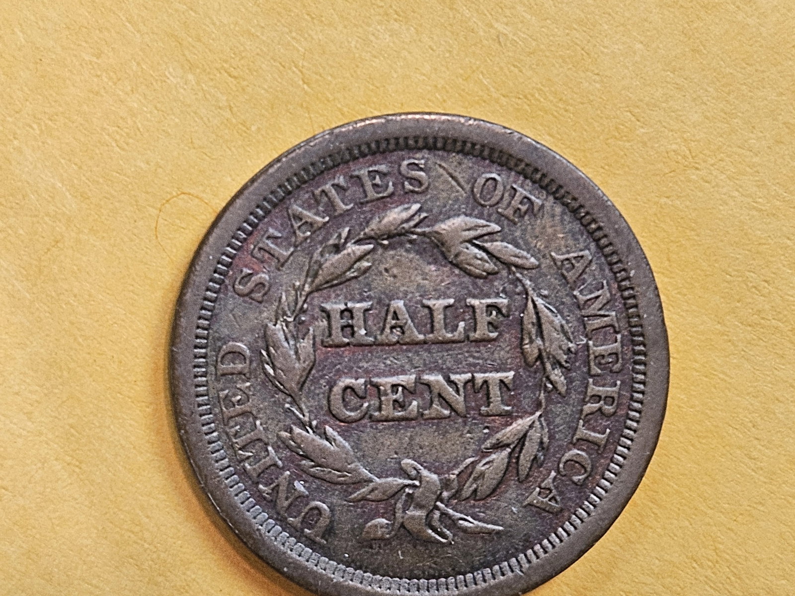 1856 Braided Hair Half Cent in Fine - 5